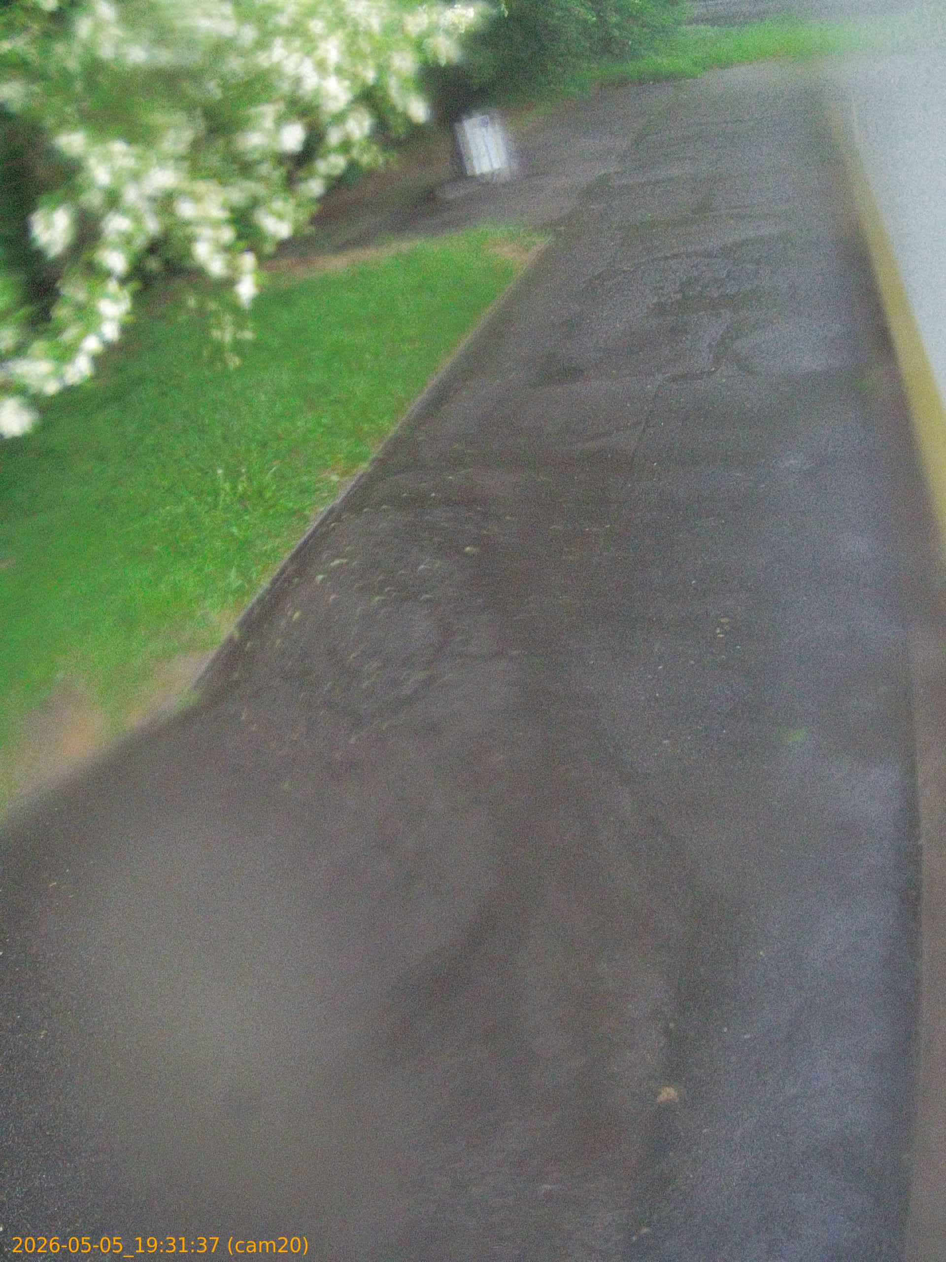 thumbnail_20260505193137