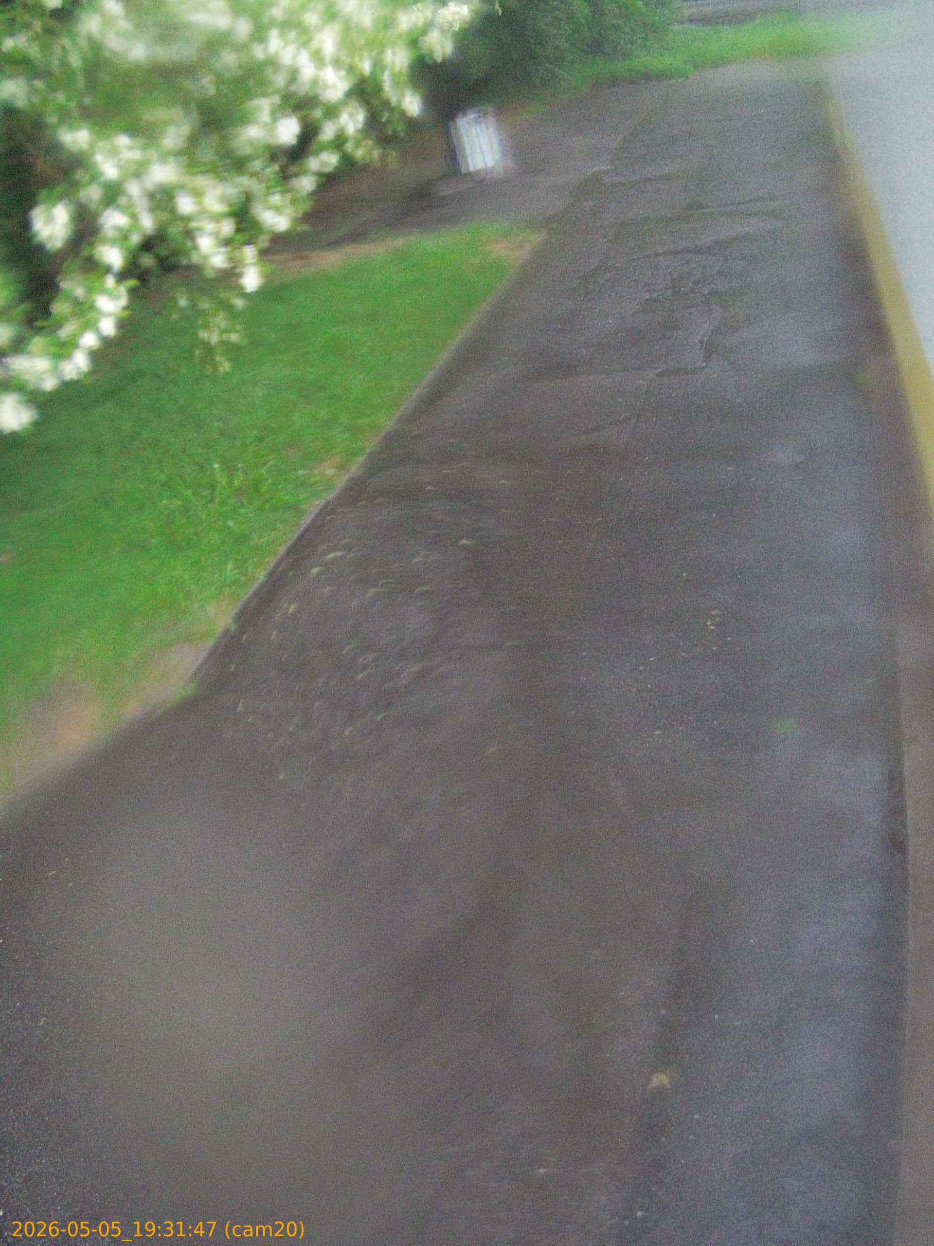 thumbnail_20260505193147