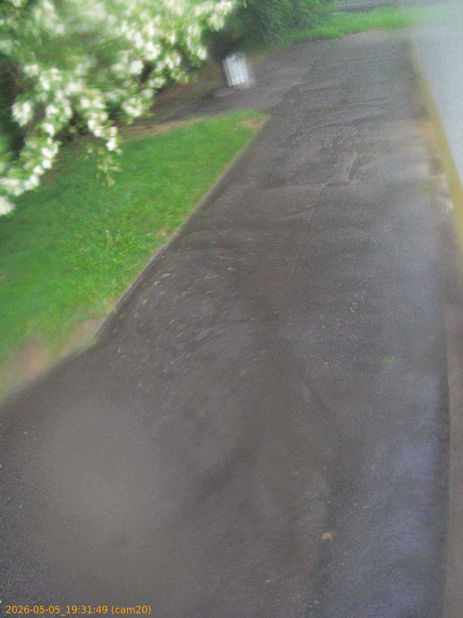 thumbnail_20260505193149