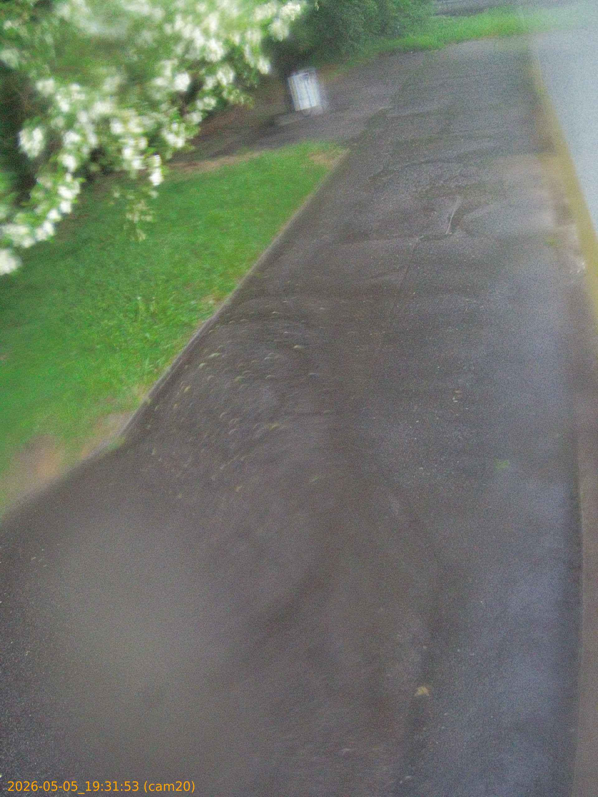 thumbnail_20260505193153