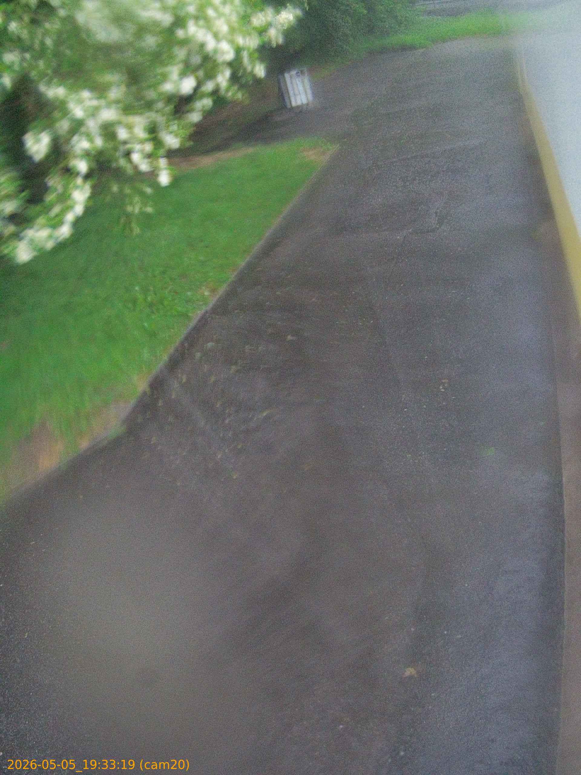 thumbnail_20260505193319