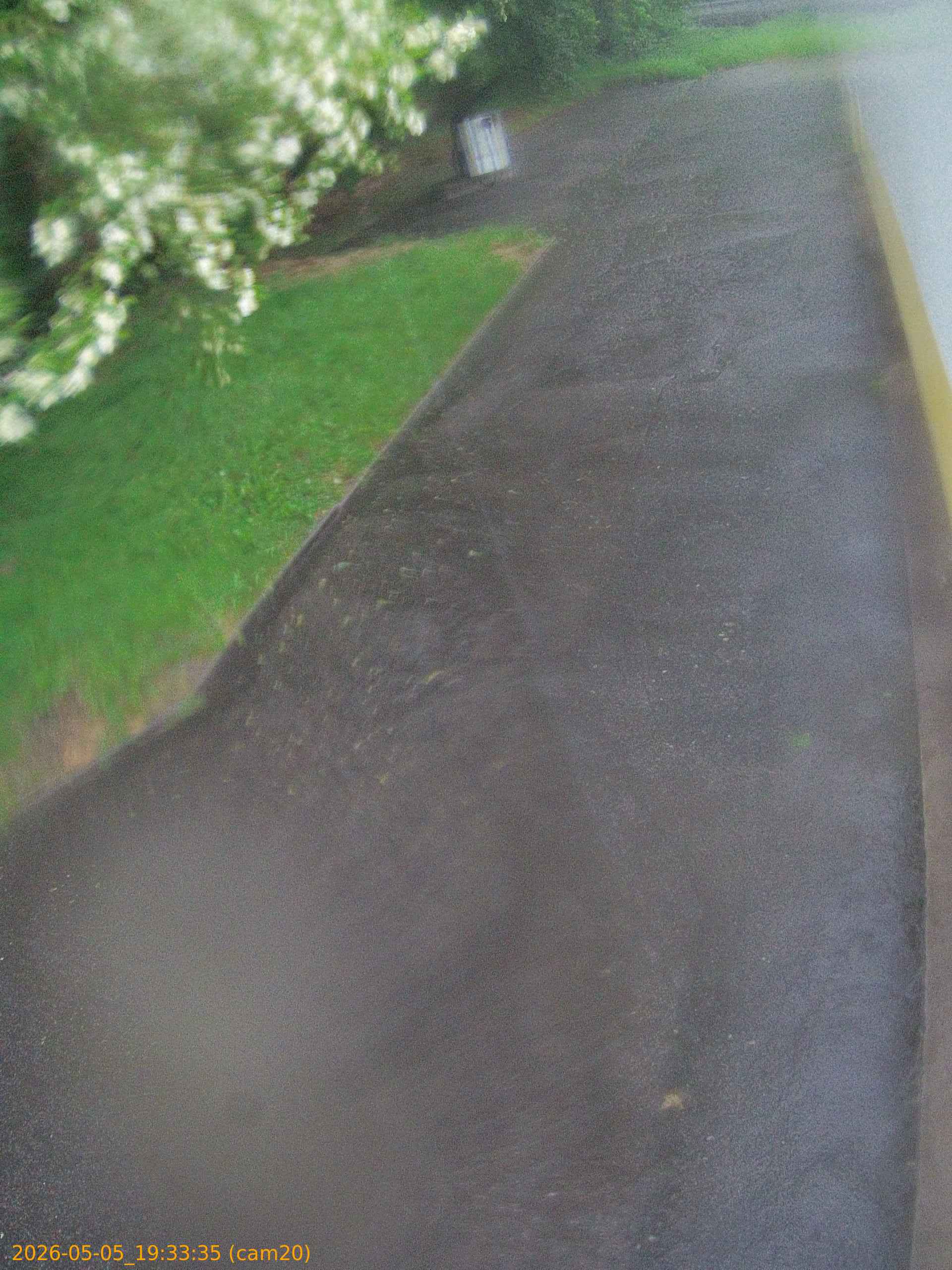 thumbnail_20260505193335