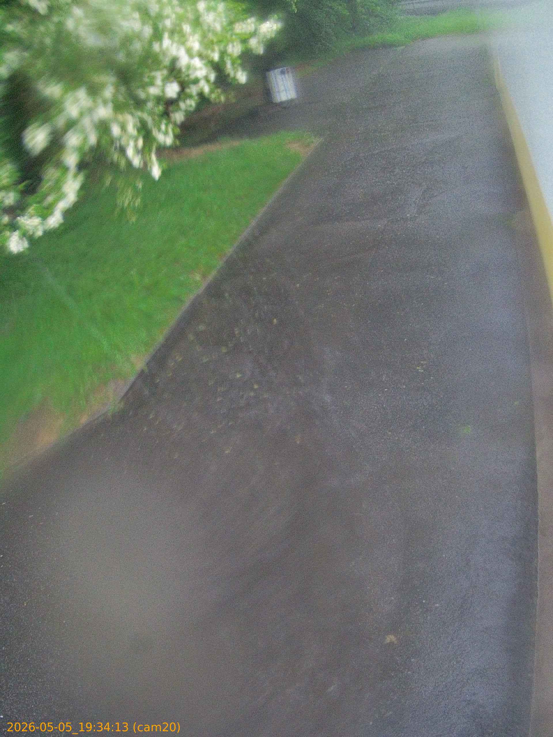 thumbnail_20260505193413