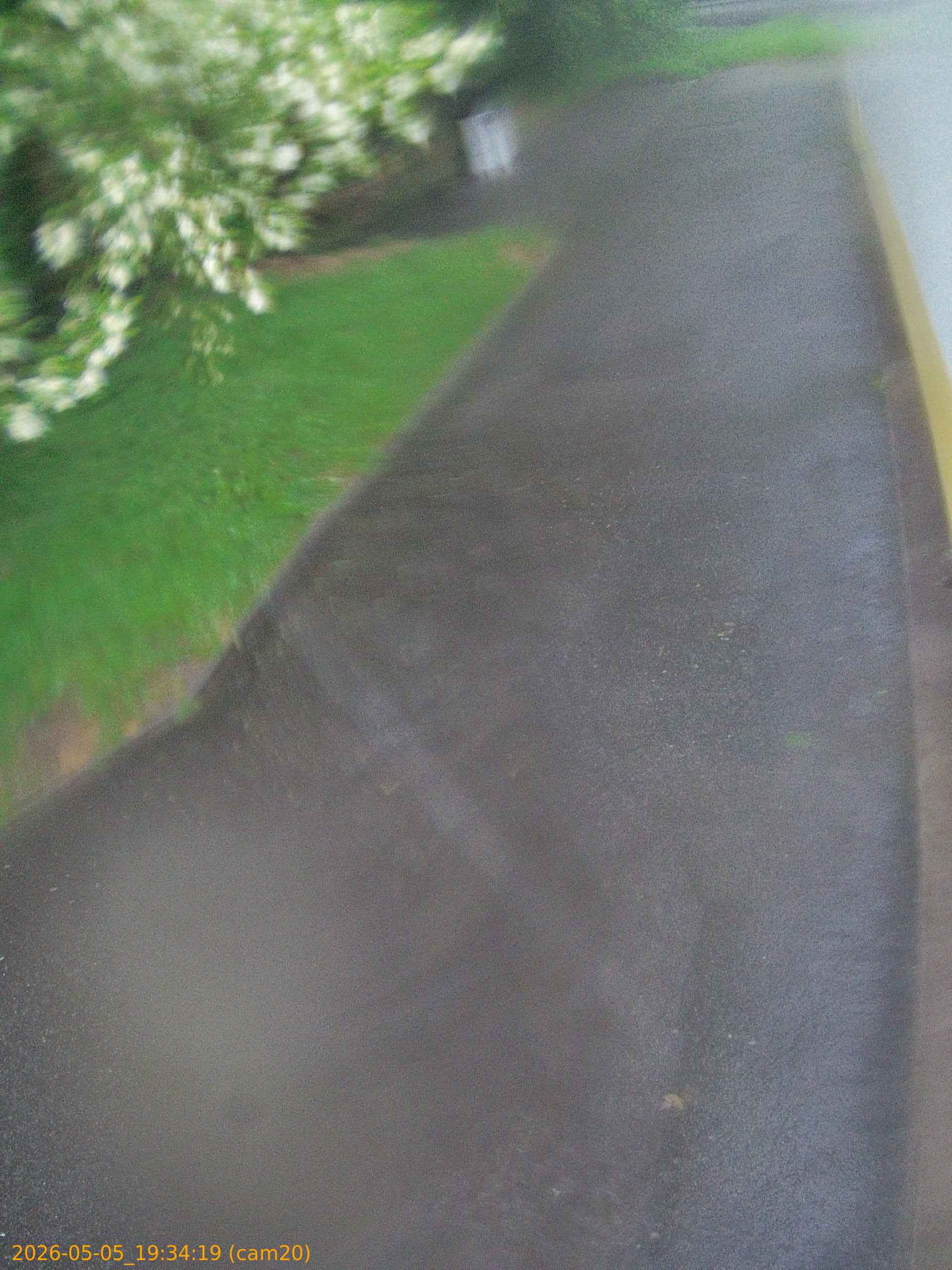 thumbnail_20260505193419