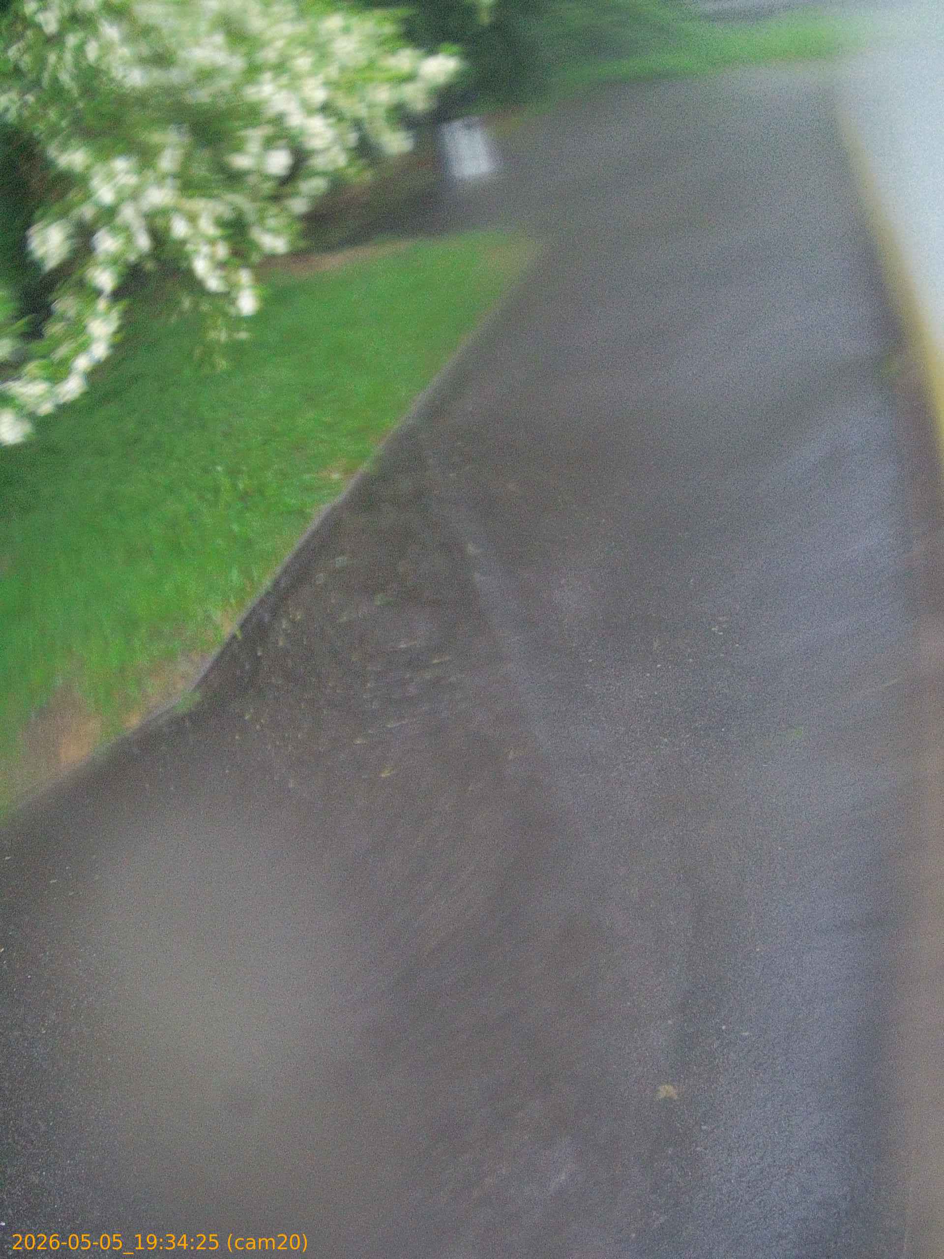 thumbnail_20260505193425