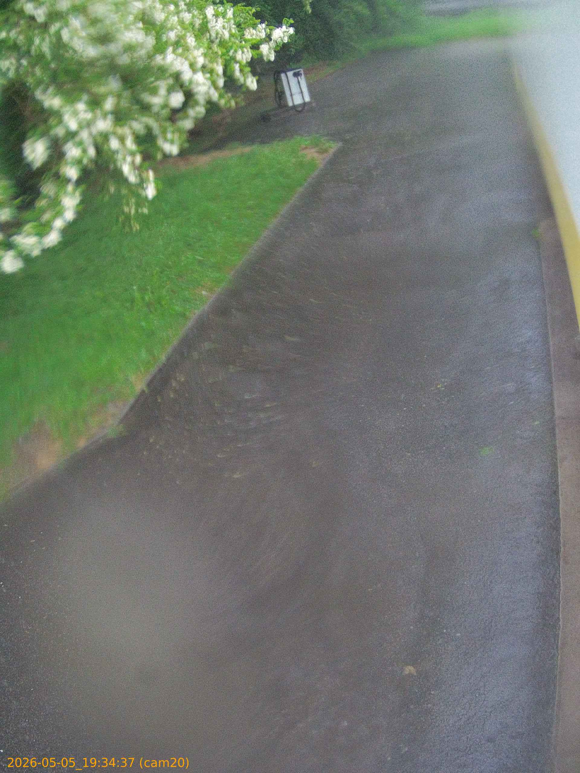 thumbnail_20260505193437