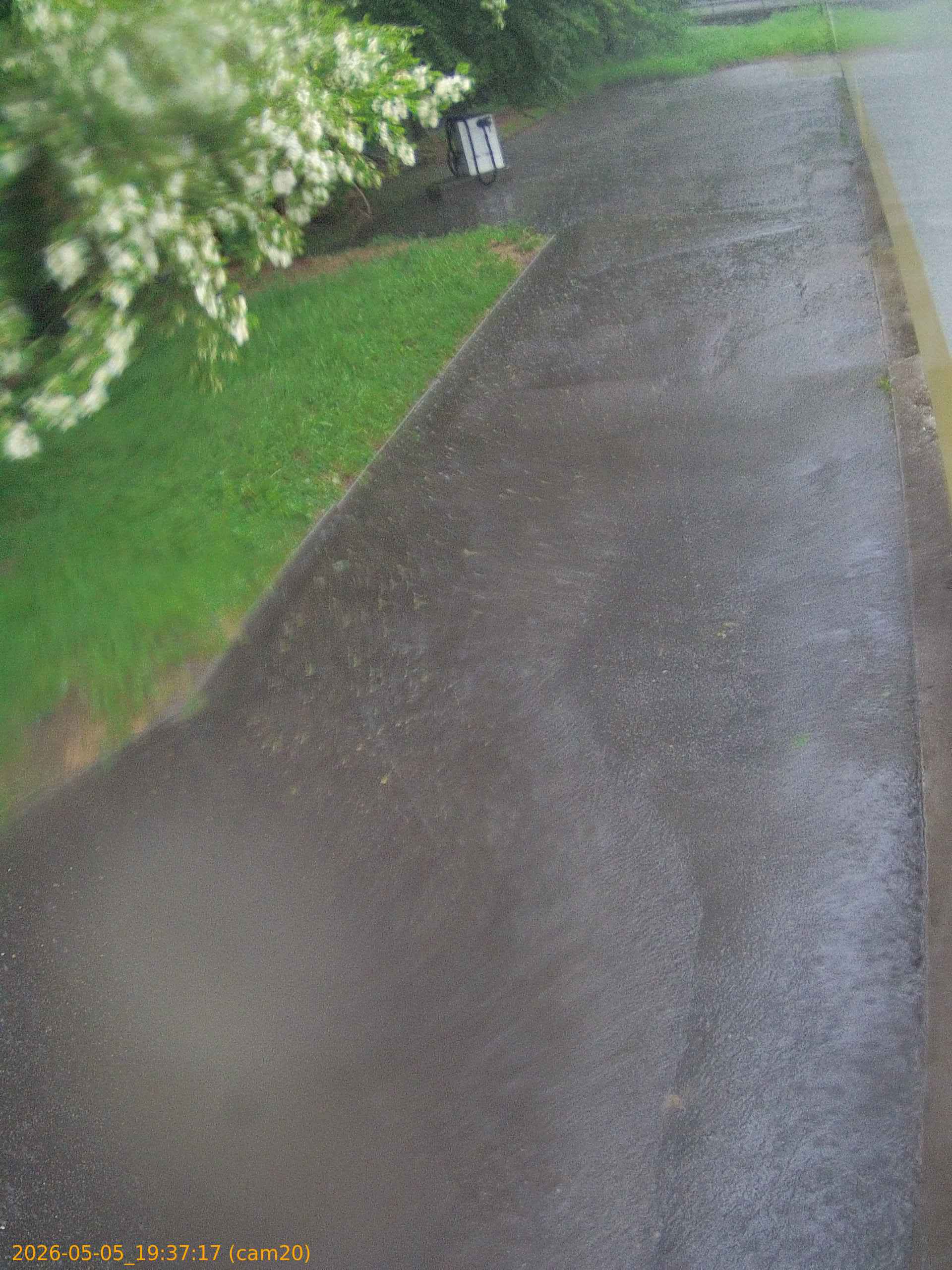 thumbnail_20260505193717