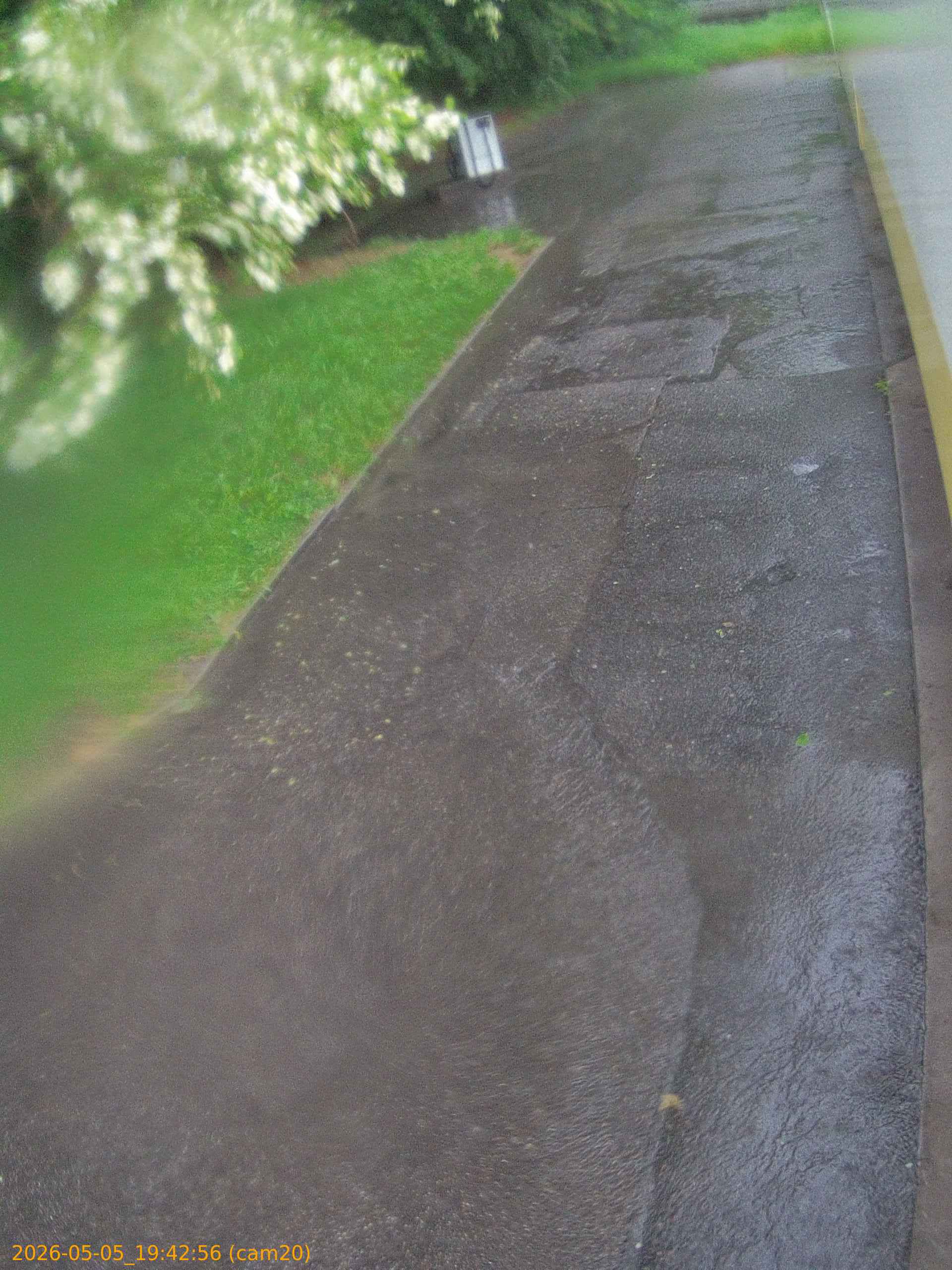 thumbnail_20260505194256