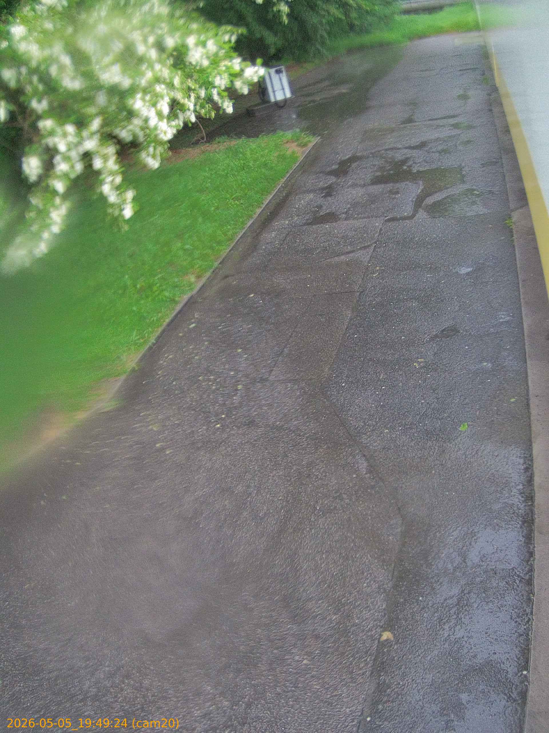 thumbnail_20260505194924