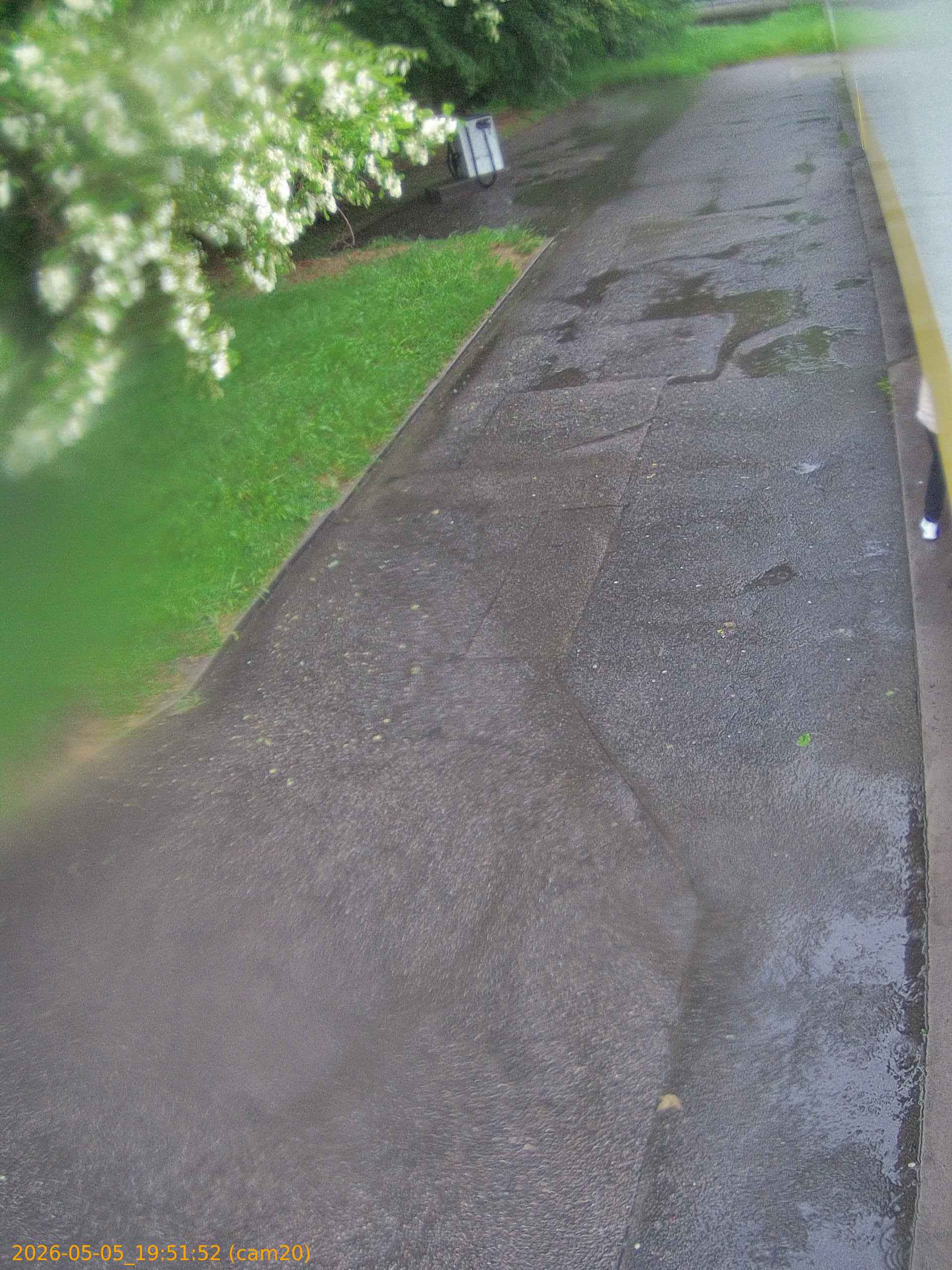 thumbnail_20260505195152