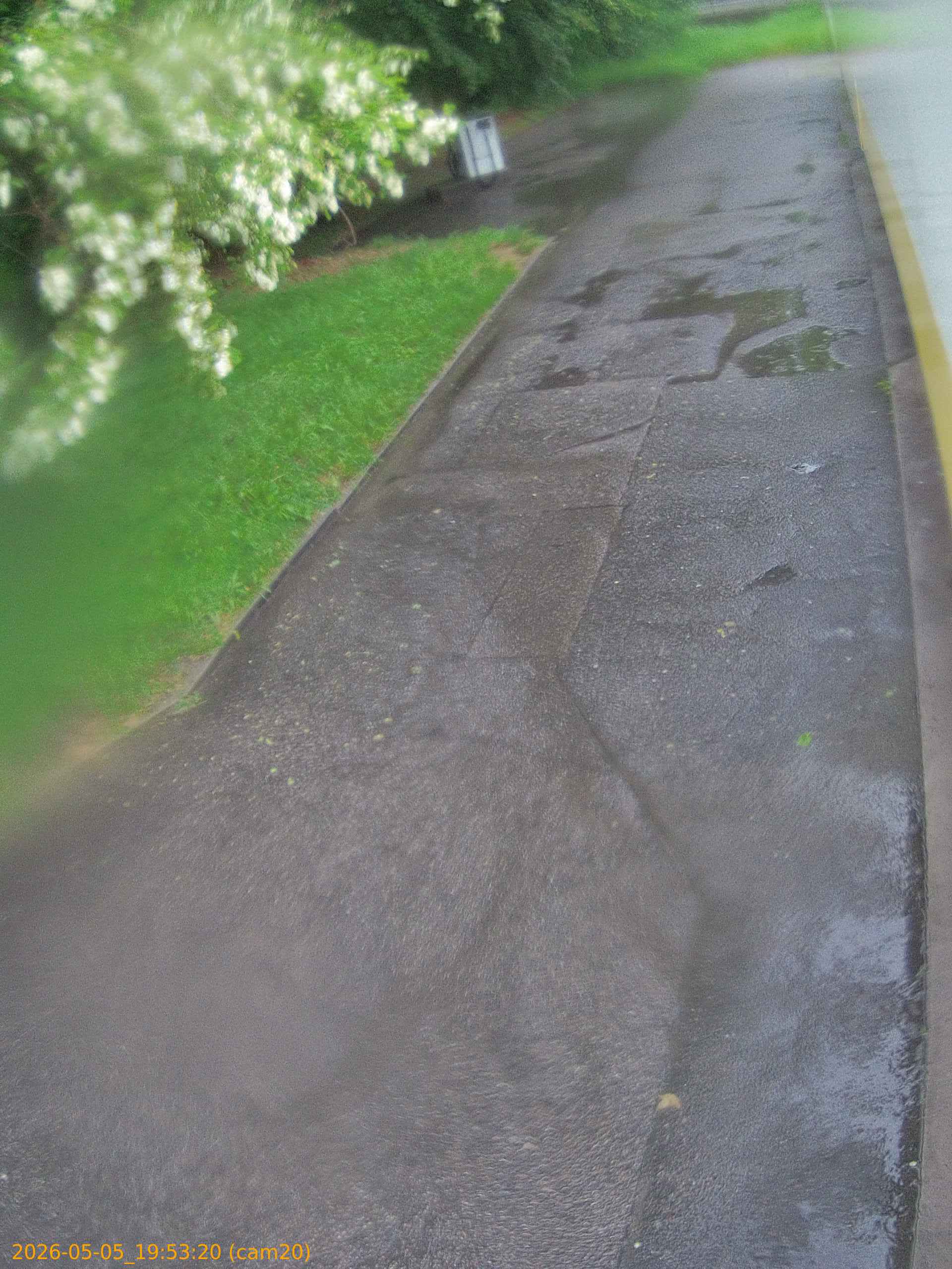 thumbnail_20260505195320