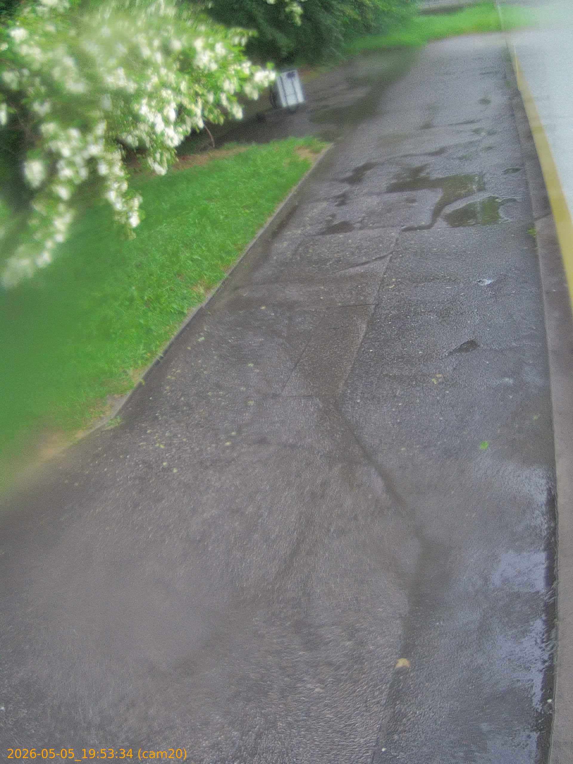 thumbnail_20260505195334