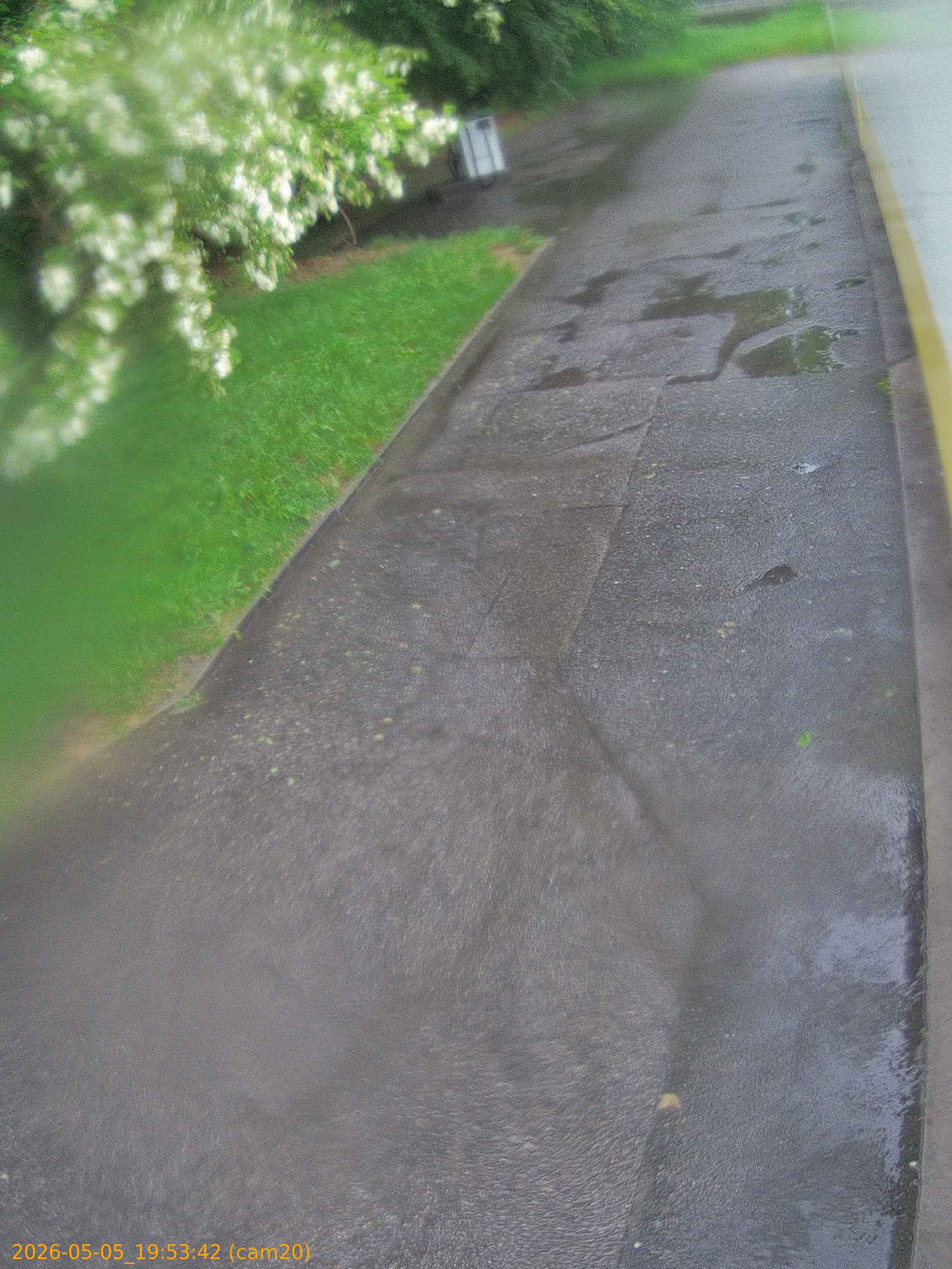 thumbnail_20260505195342