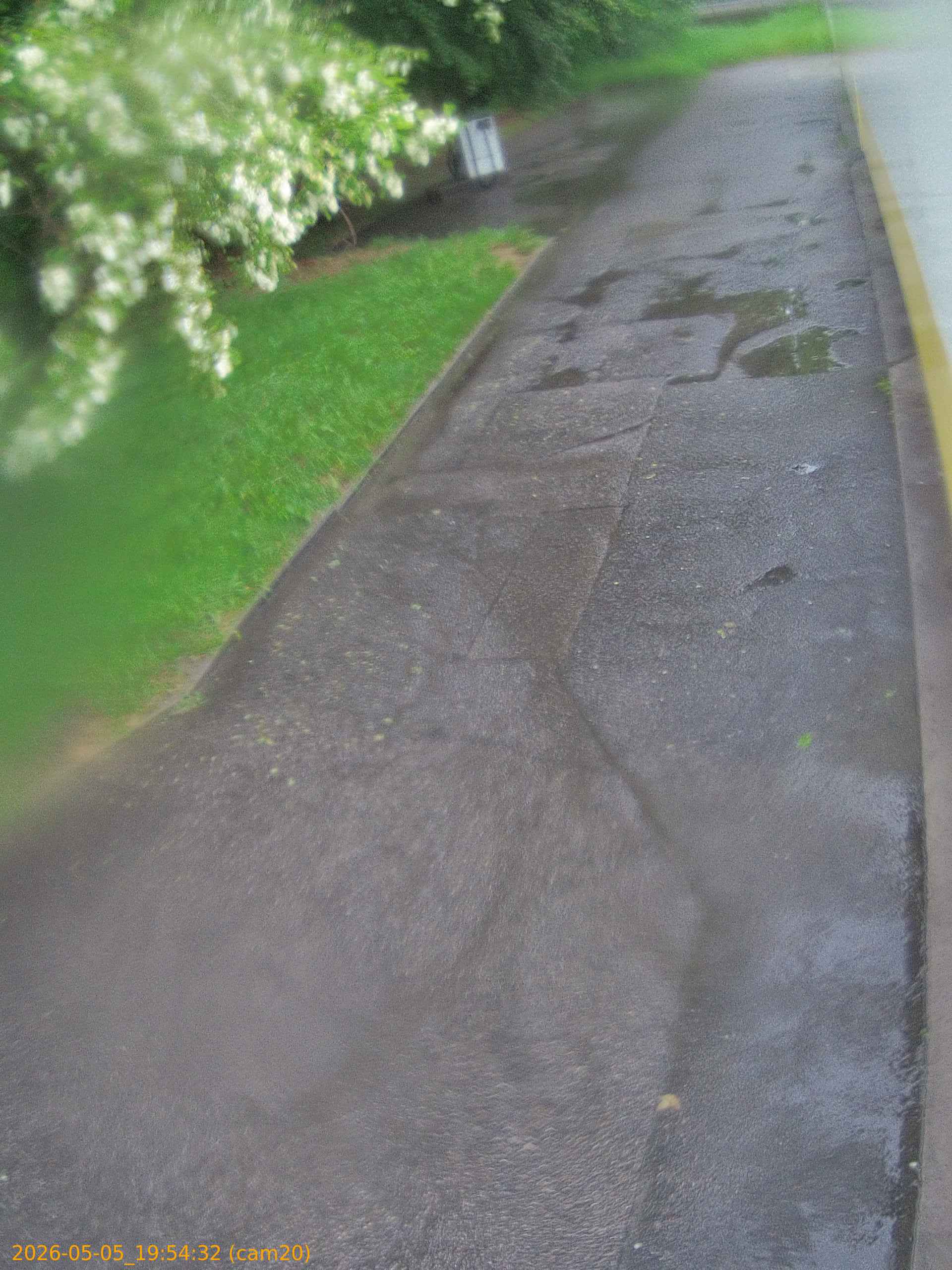 thumbnail_20260505195432