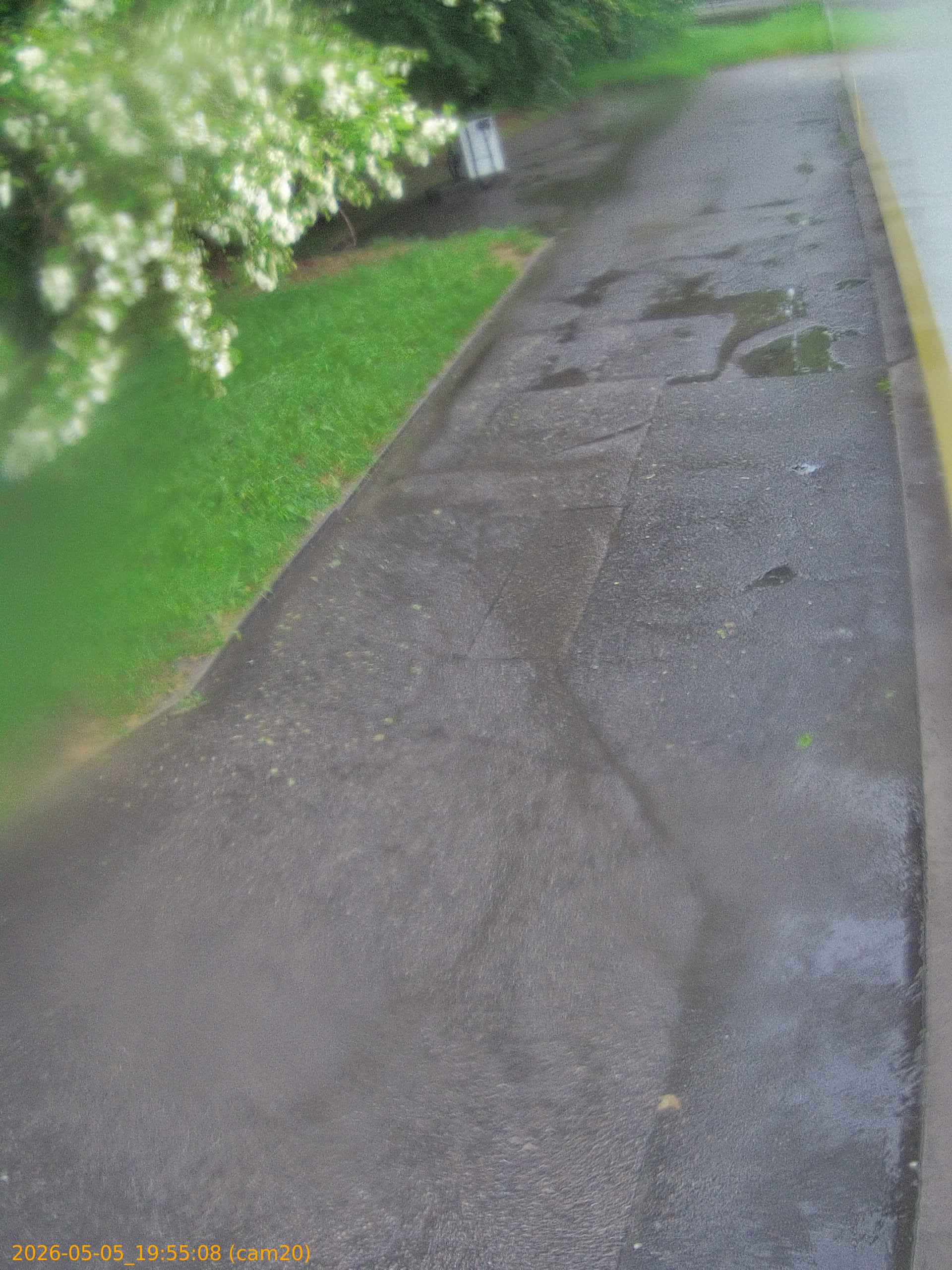 20260505195508