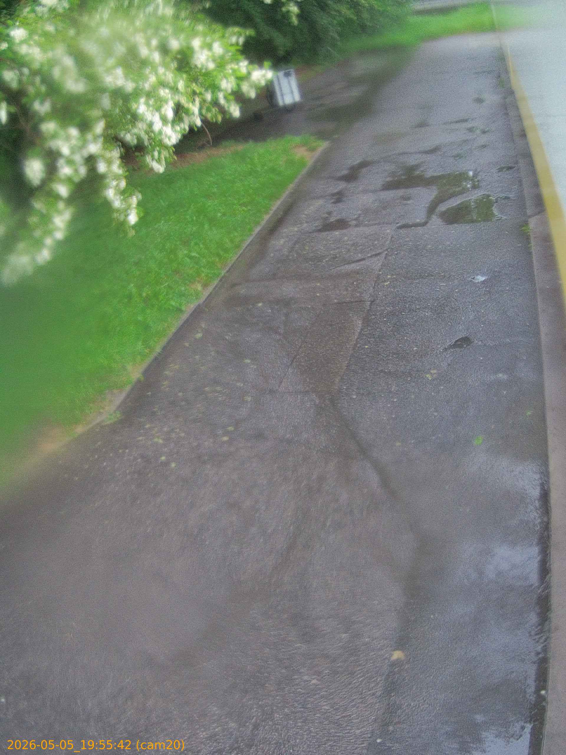 thumbnail_20260505195542
