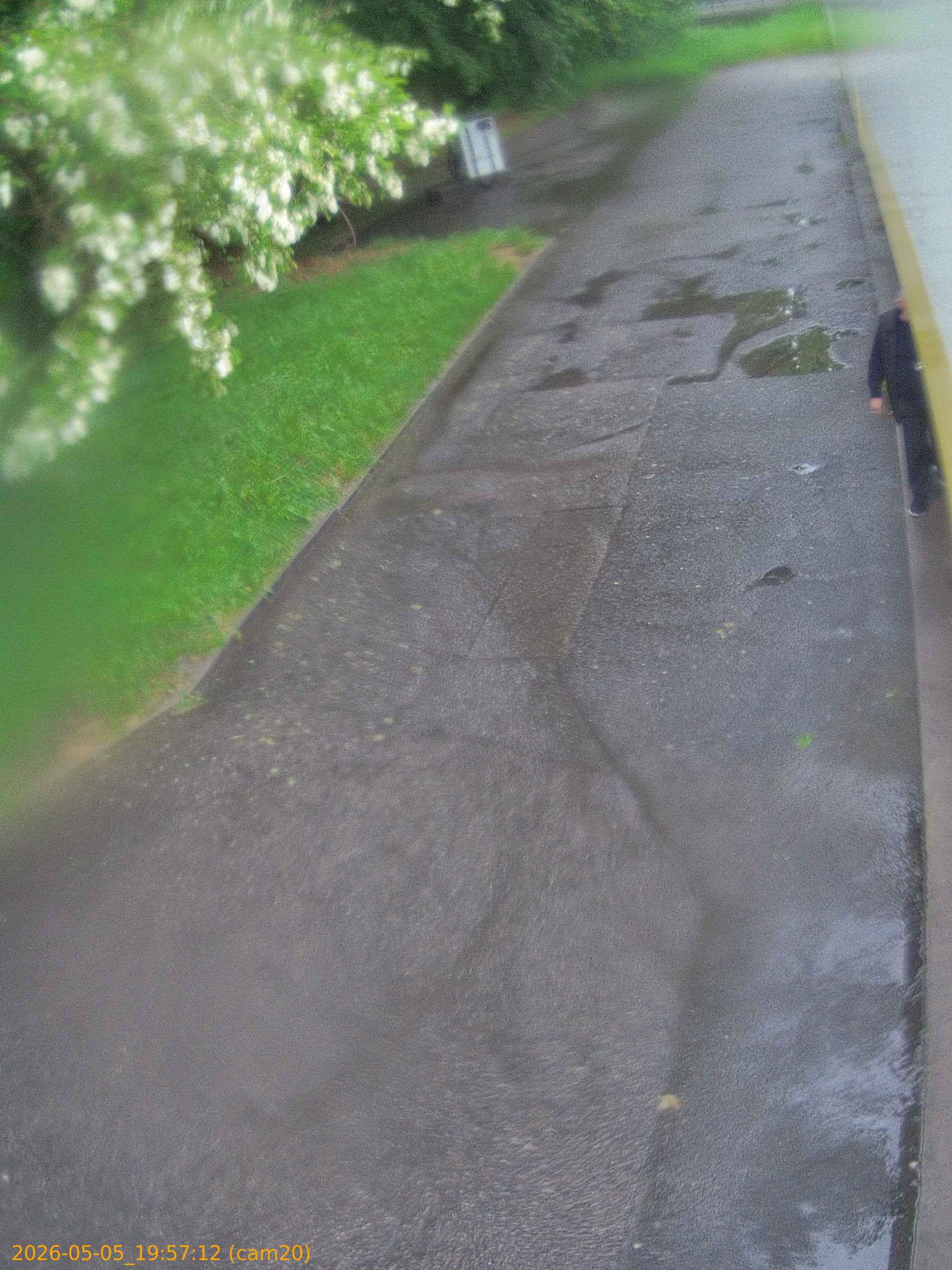 thumbnail_20260505195712