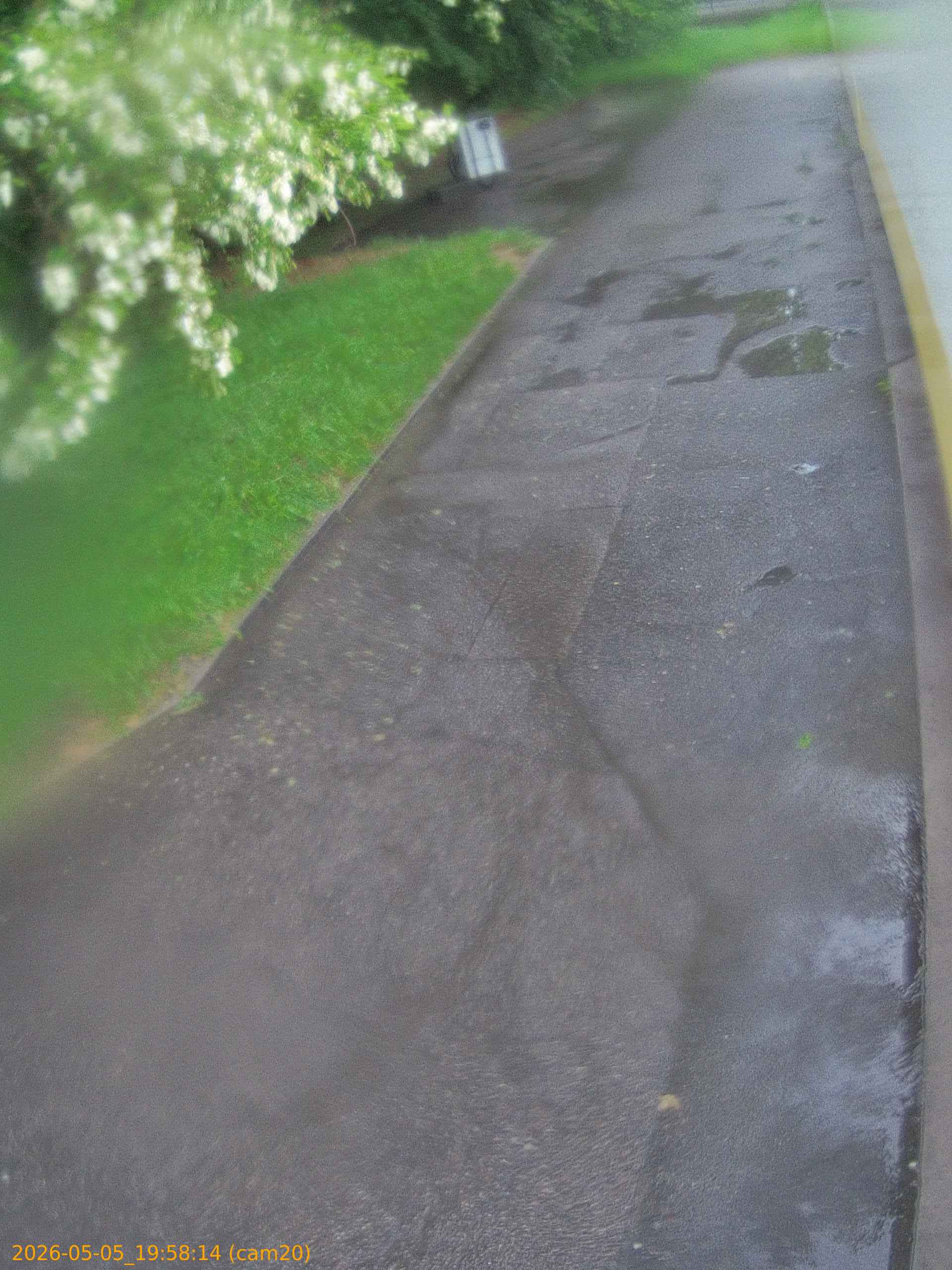 thumbnail_20260505195814