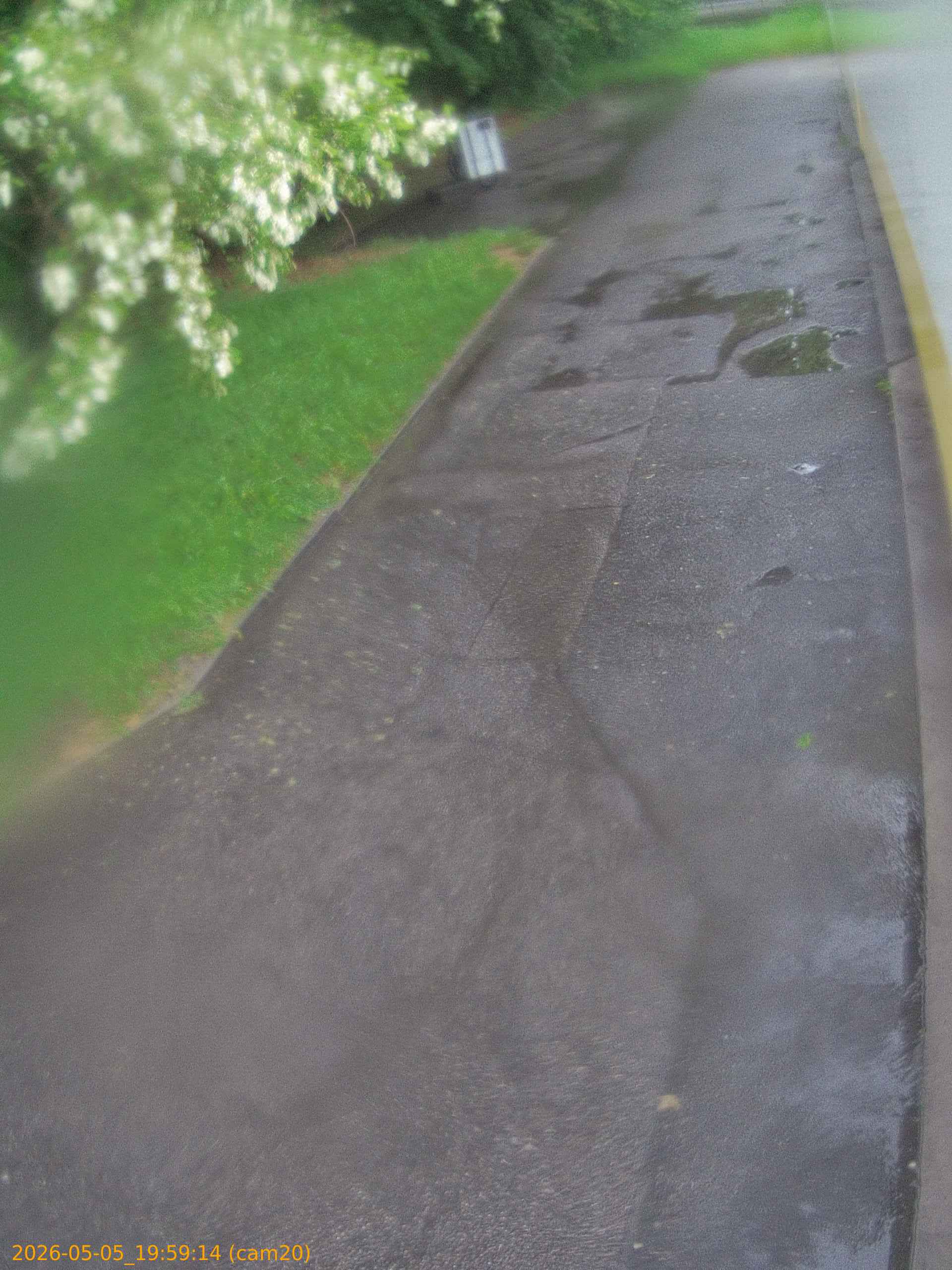 thumbnail_20260505195914