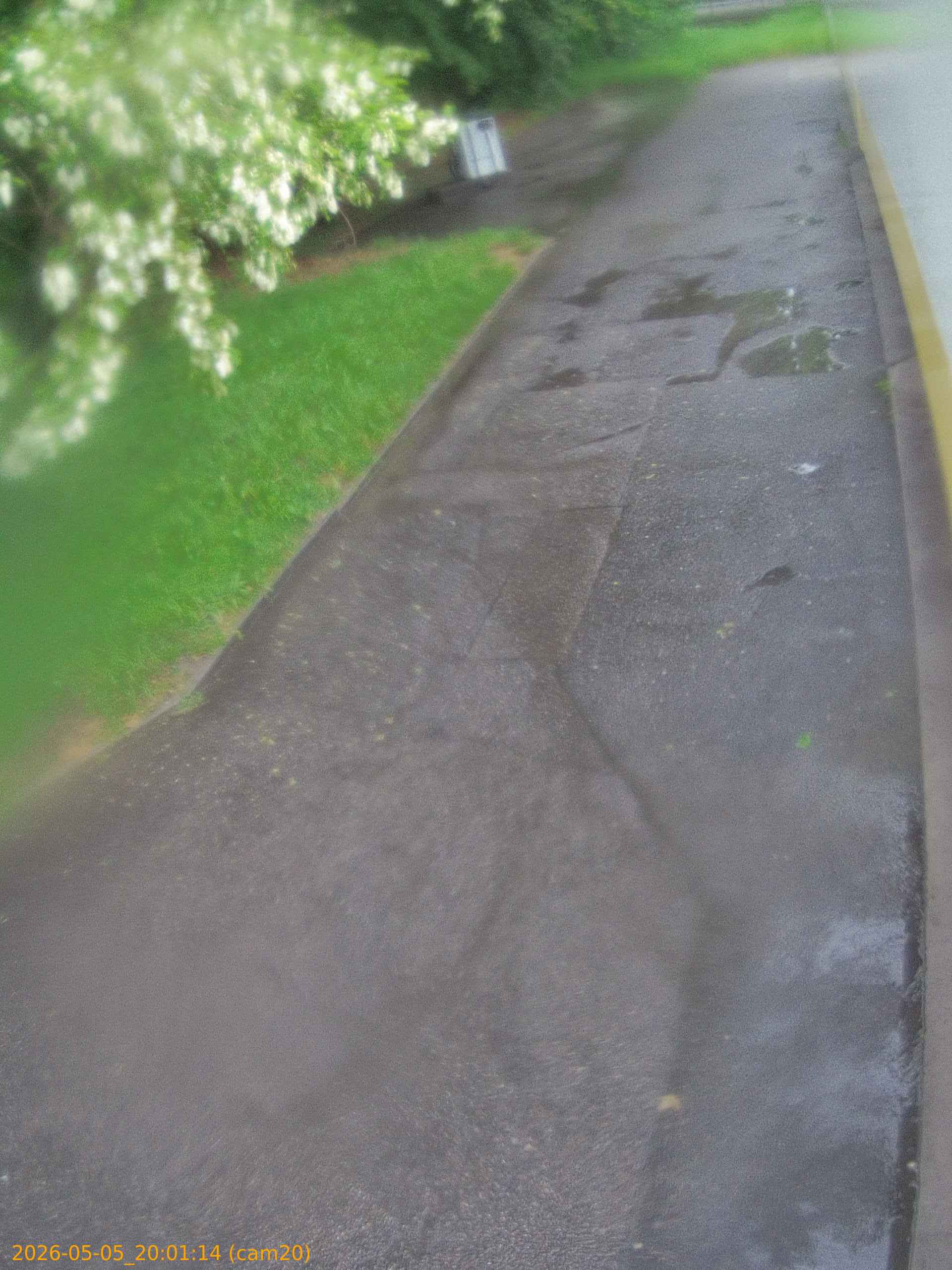 thumbnail_20260505200114
