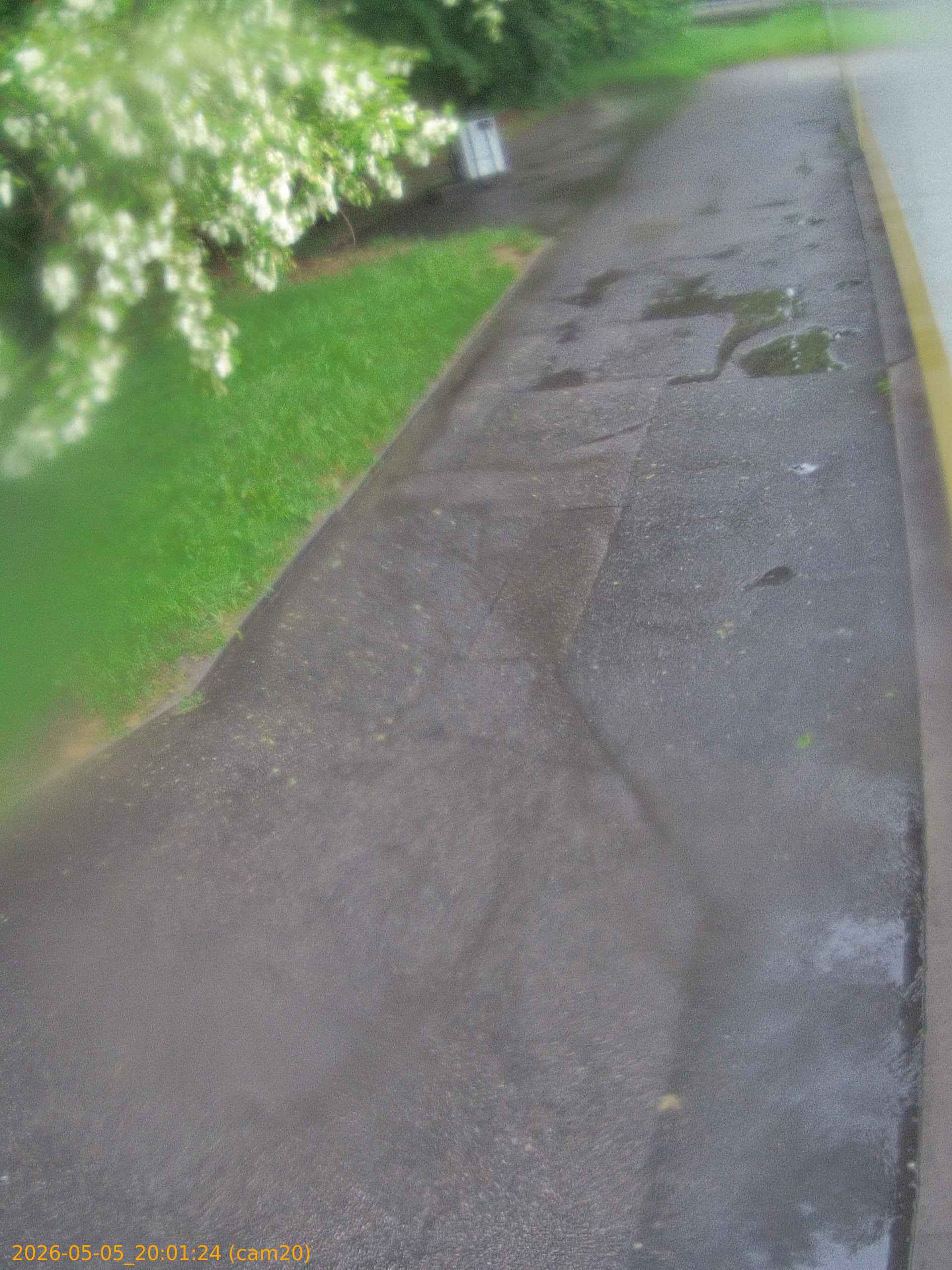 thumbnail_20260505200124