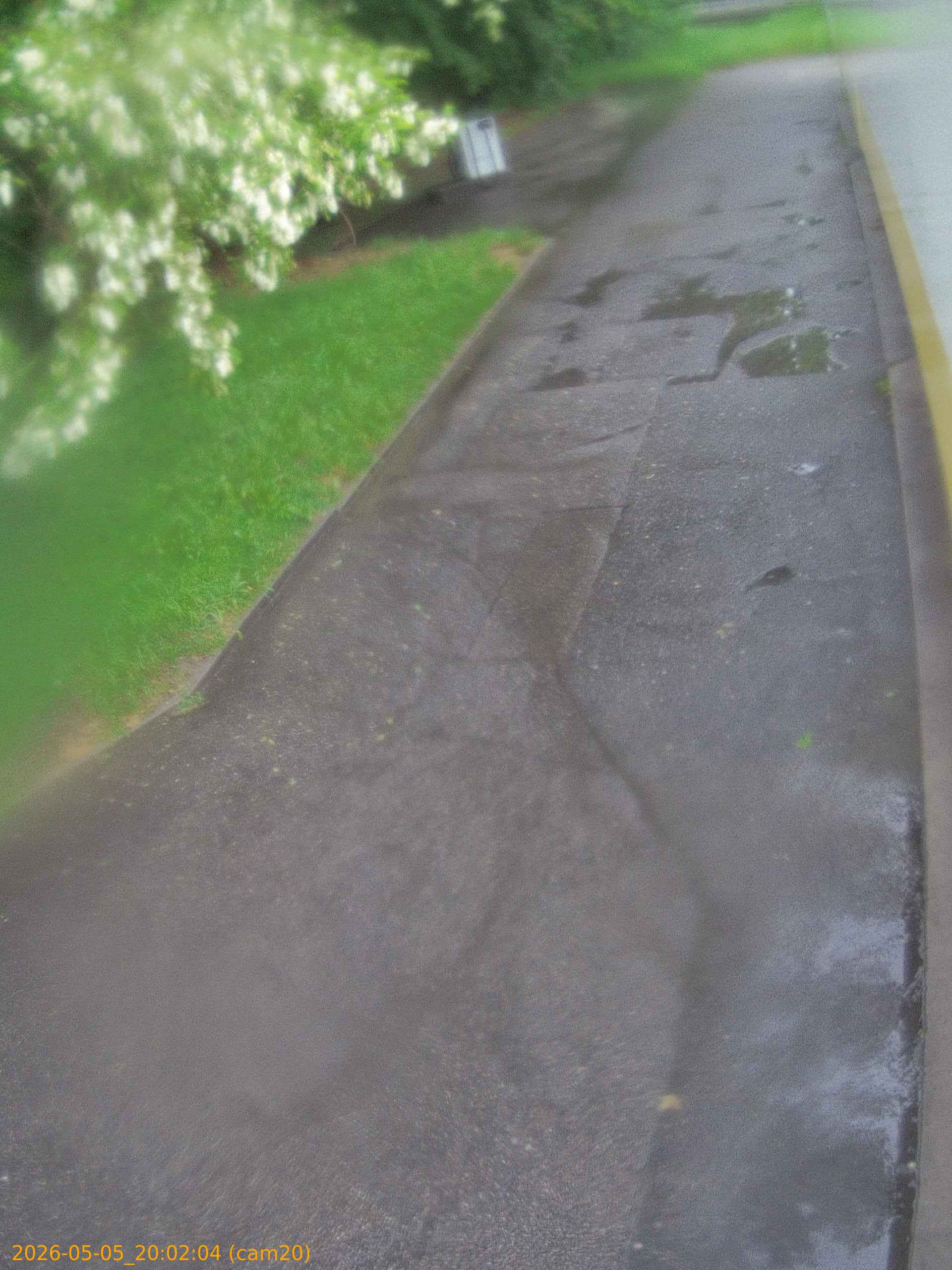 thumbnail_20260505200204