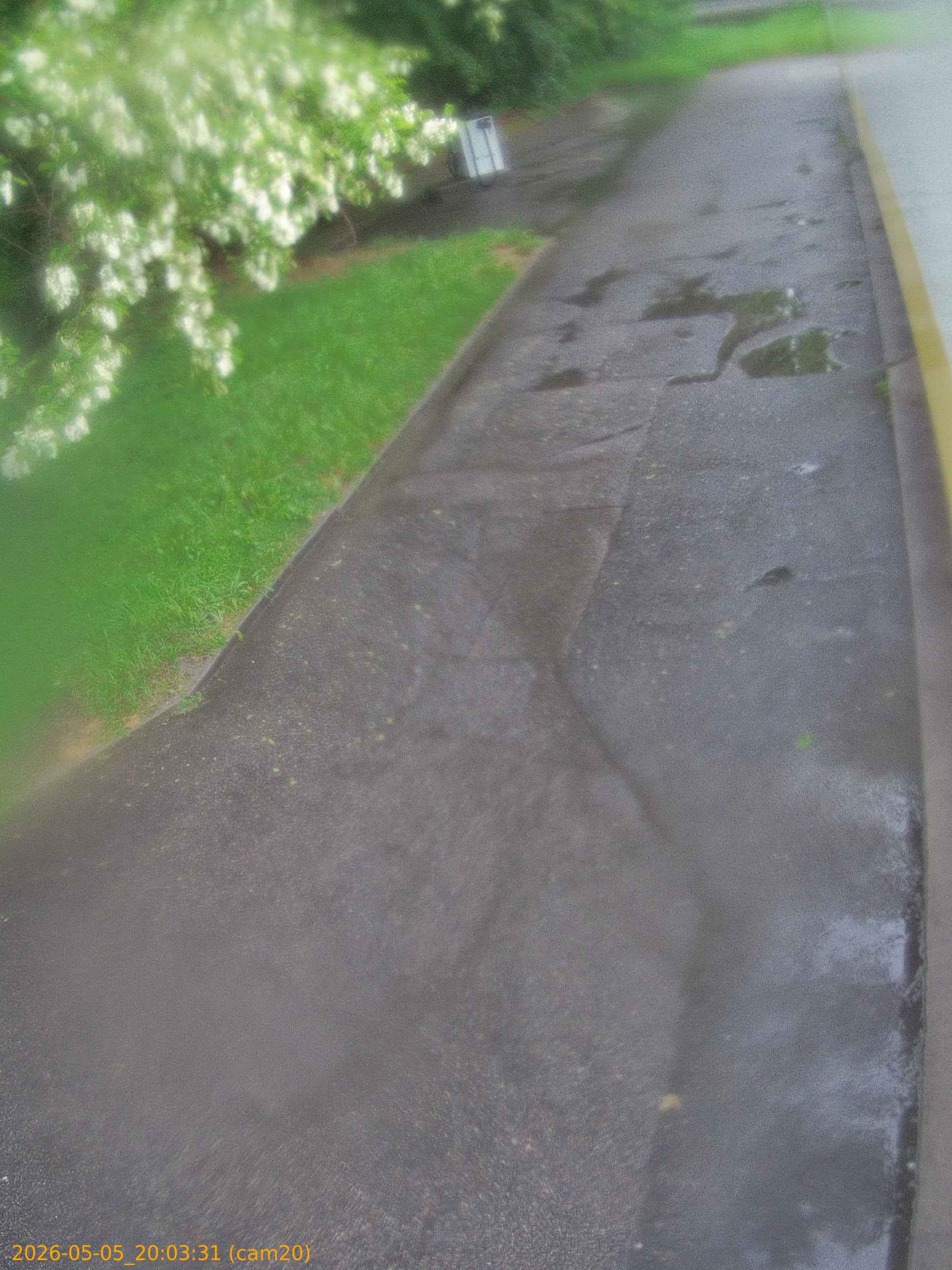 thumbnail_20260505200331