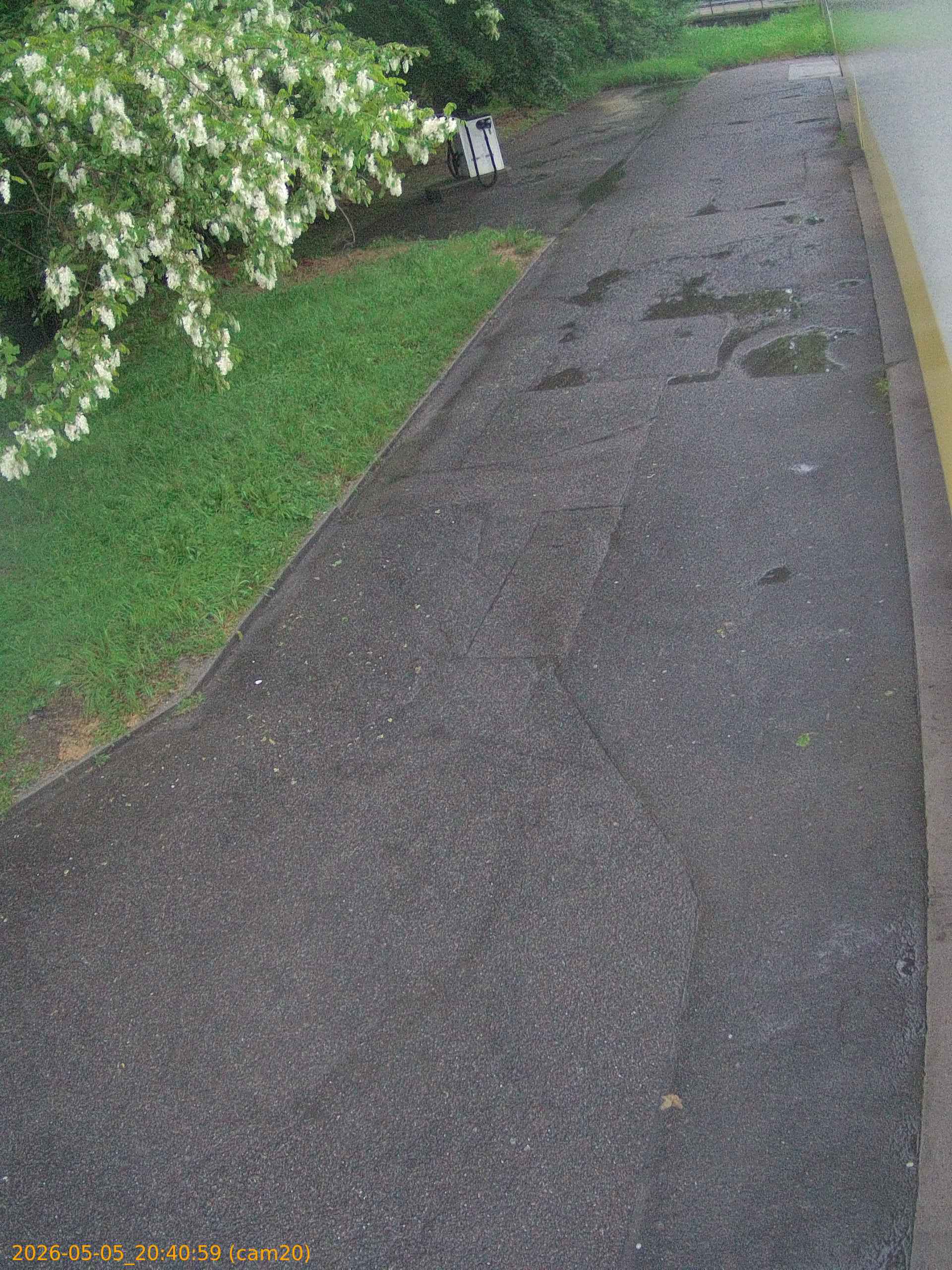 202605052040
