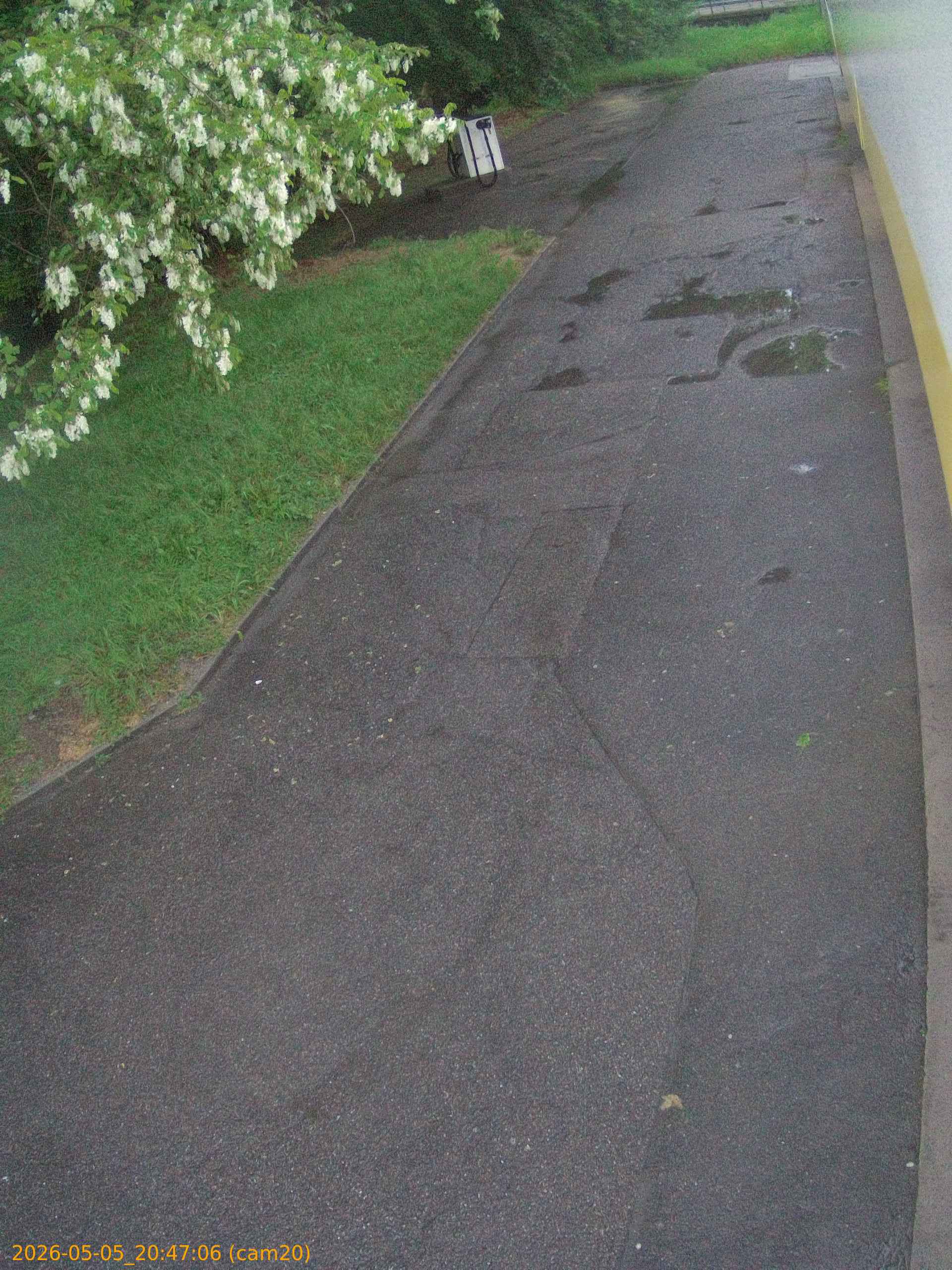20260505204706