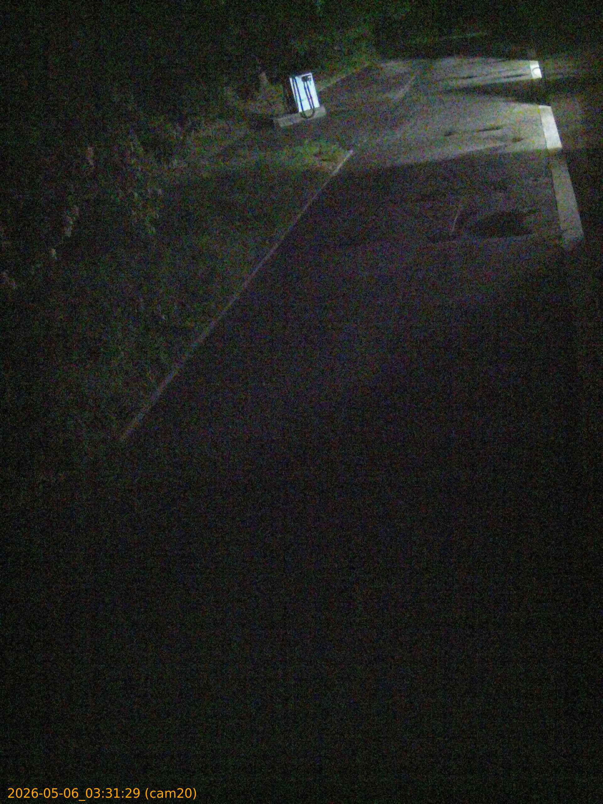 20260506033129