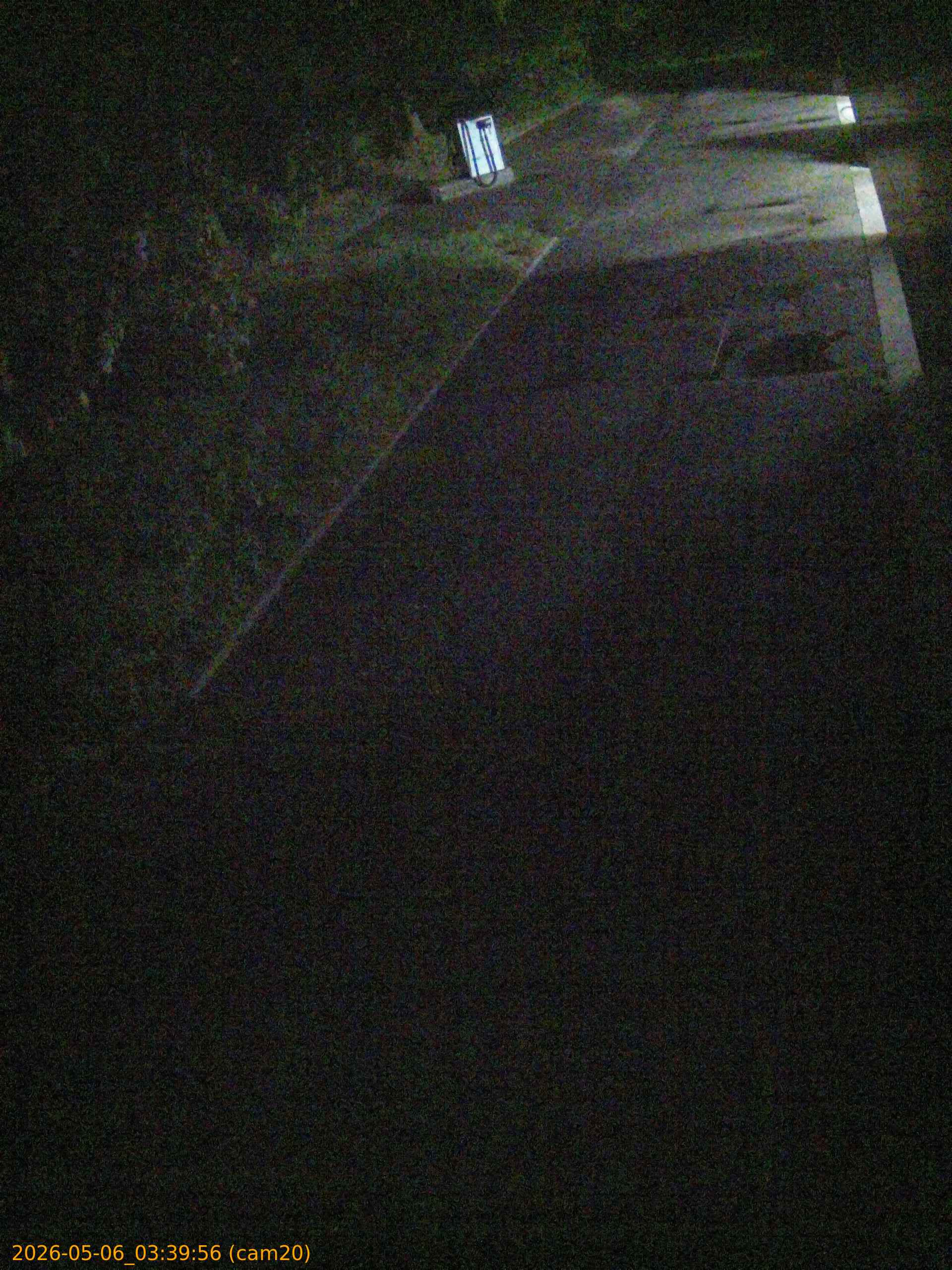 20260506033956