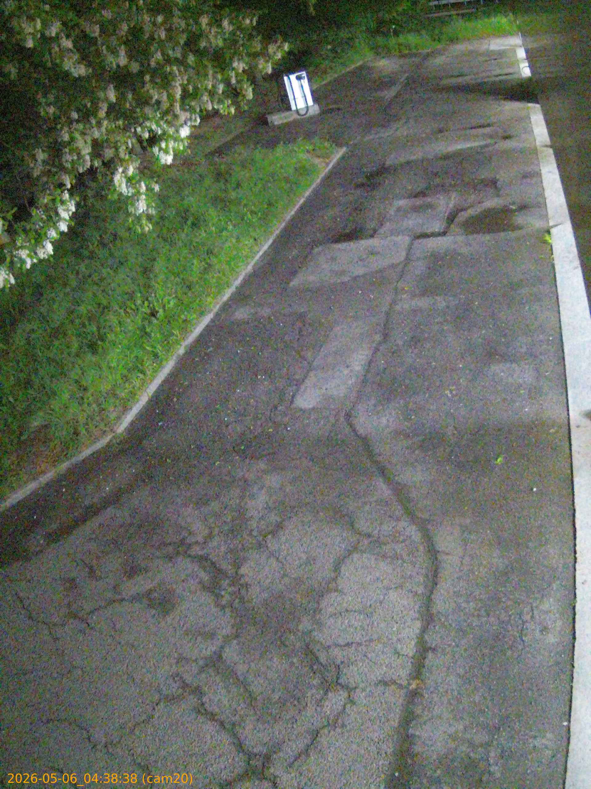 20260506043838