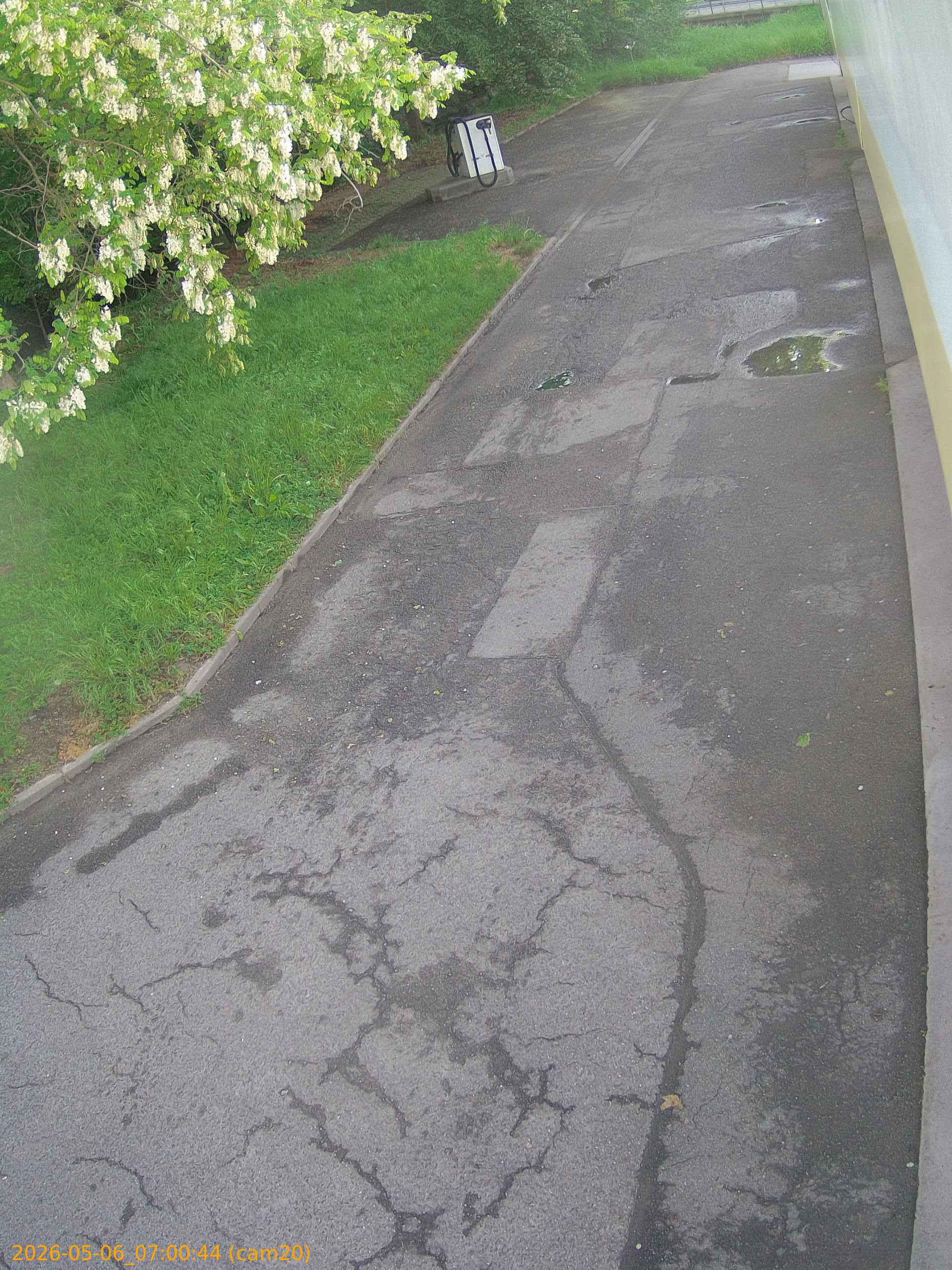 thumbnail_20260506070044