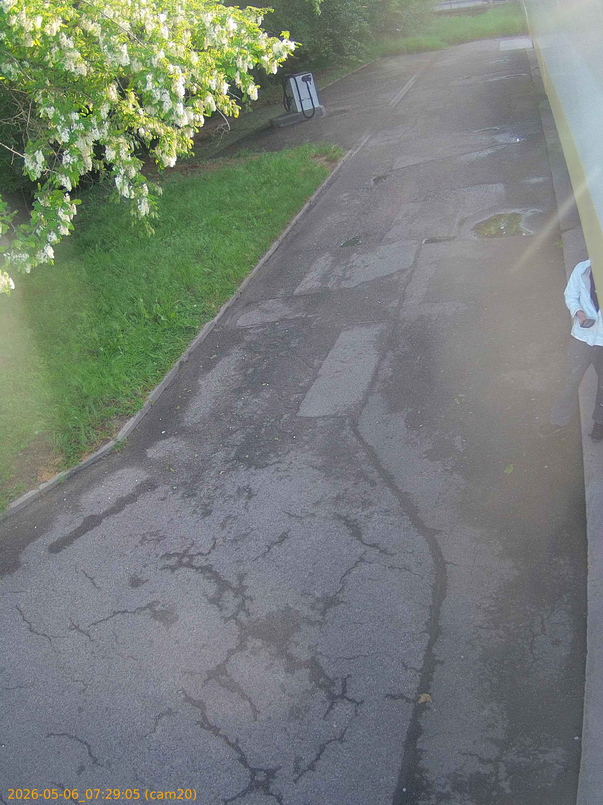 20260506072905