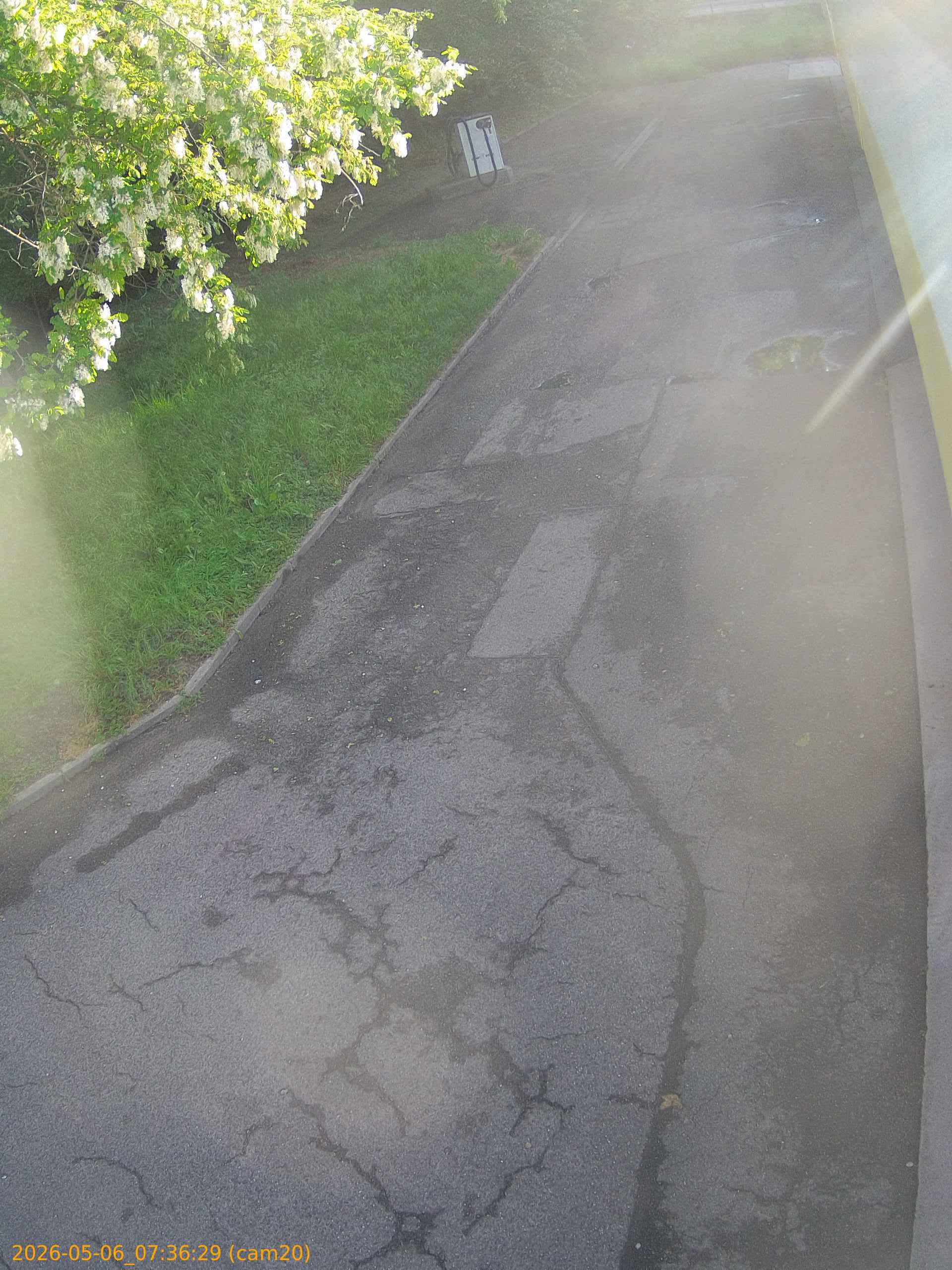 thumbnail_20260506073629