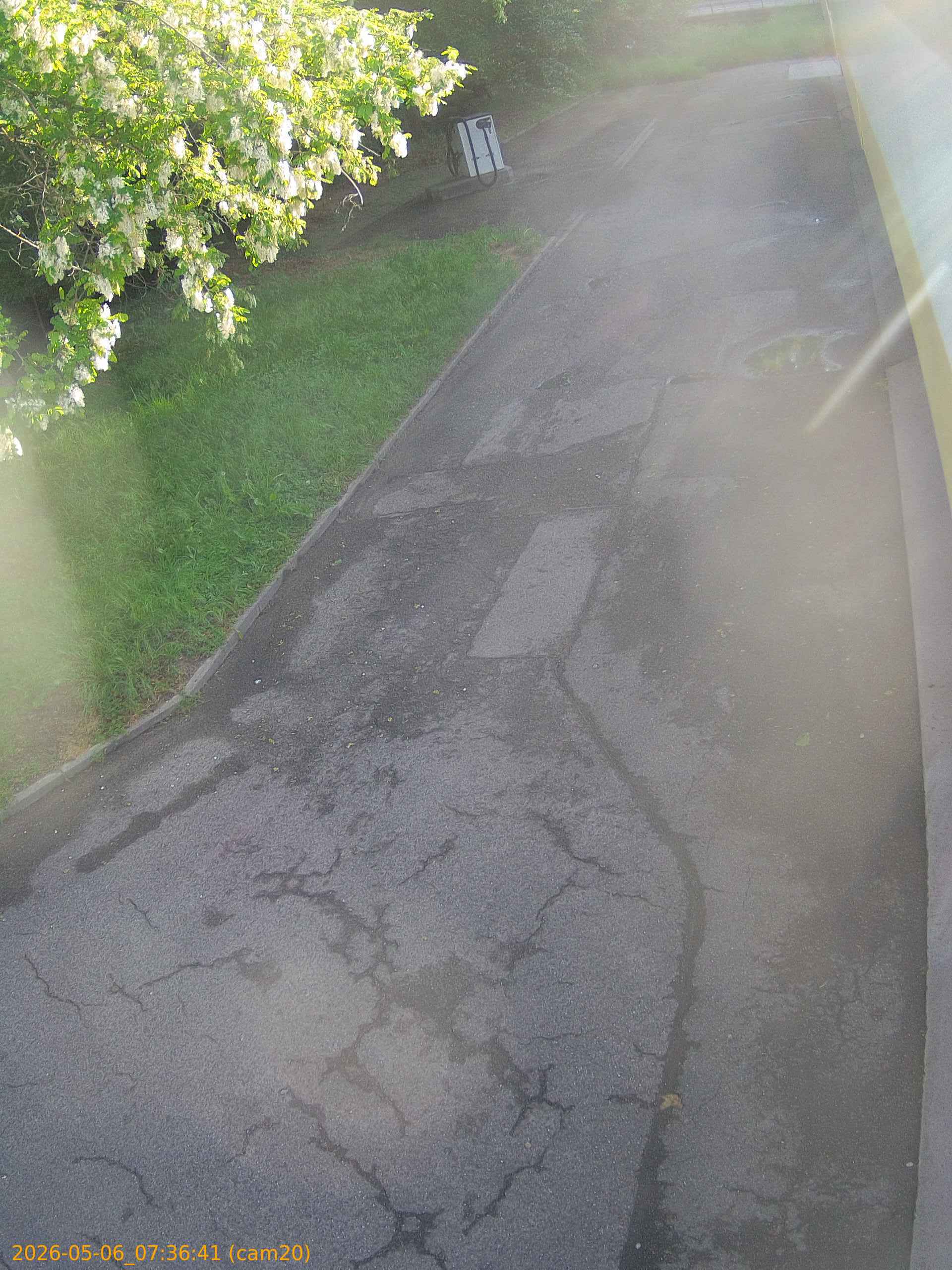thumbnail_20260506073641