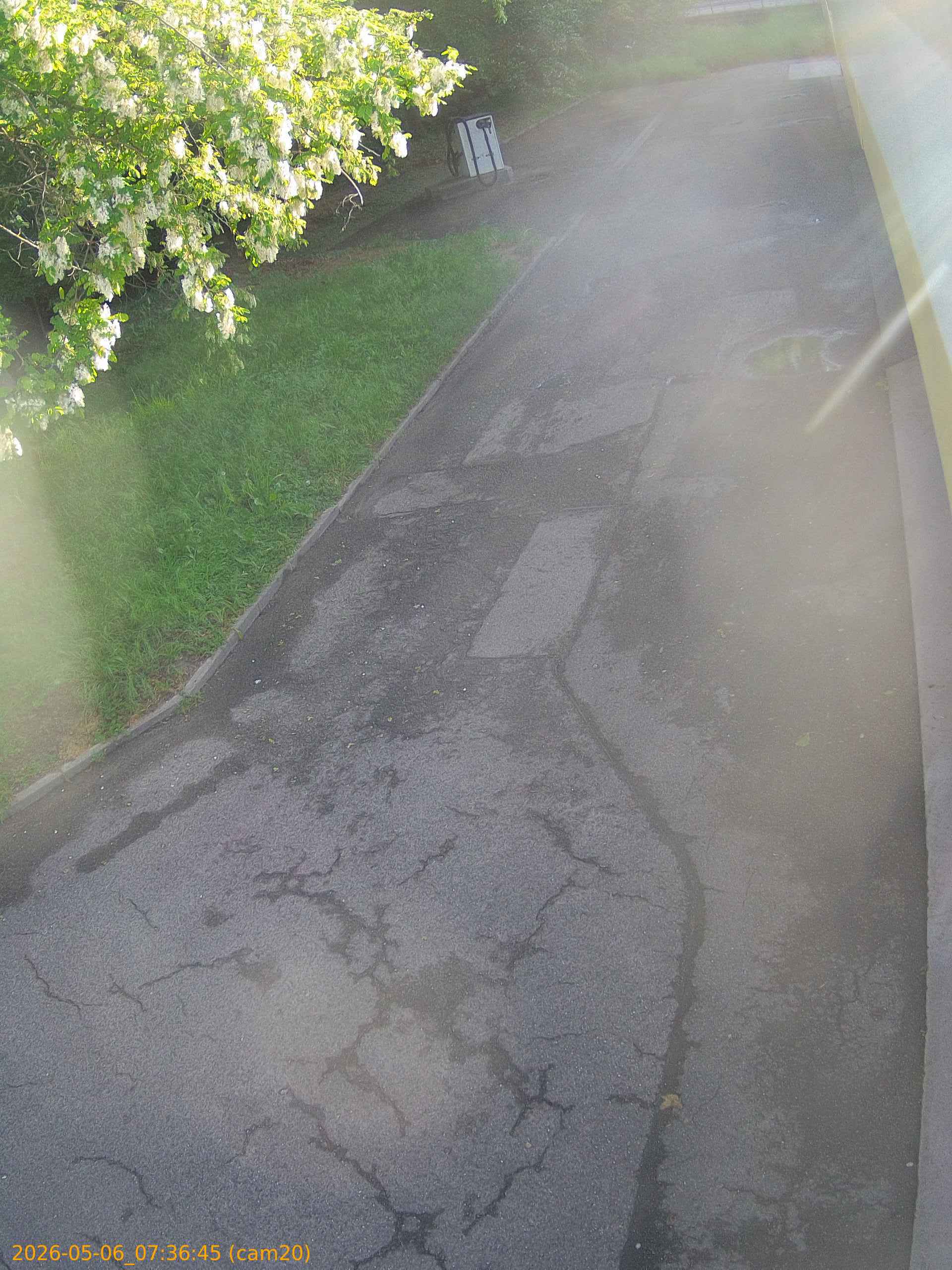 thumbnail_20260506073645