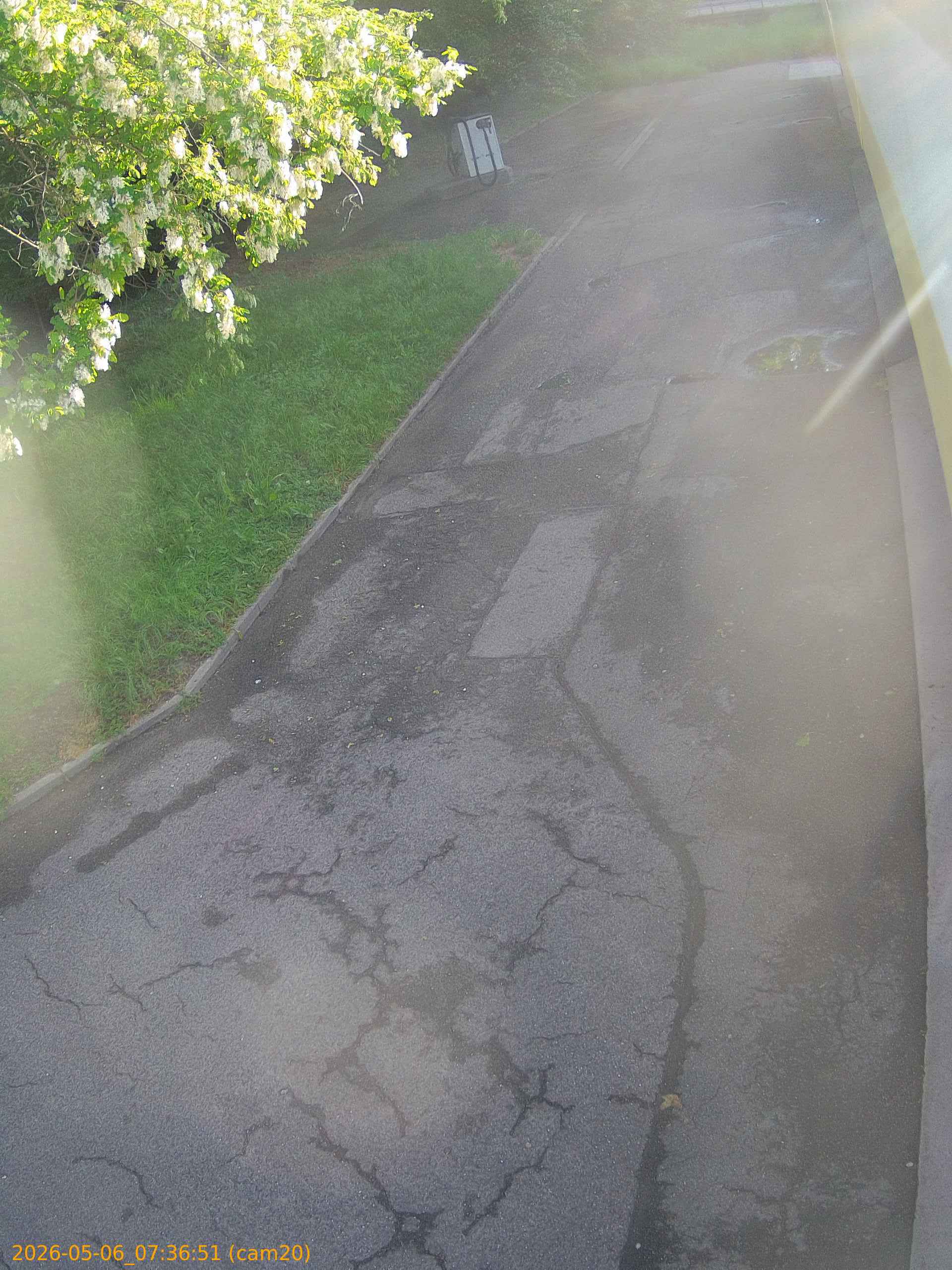 thumbnail_20260506073651