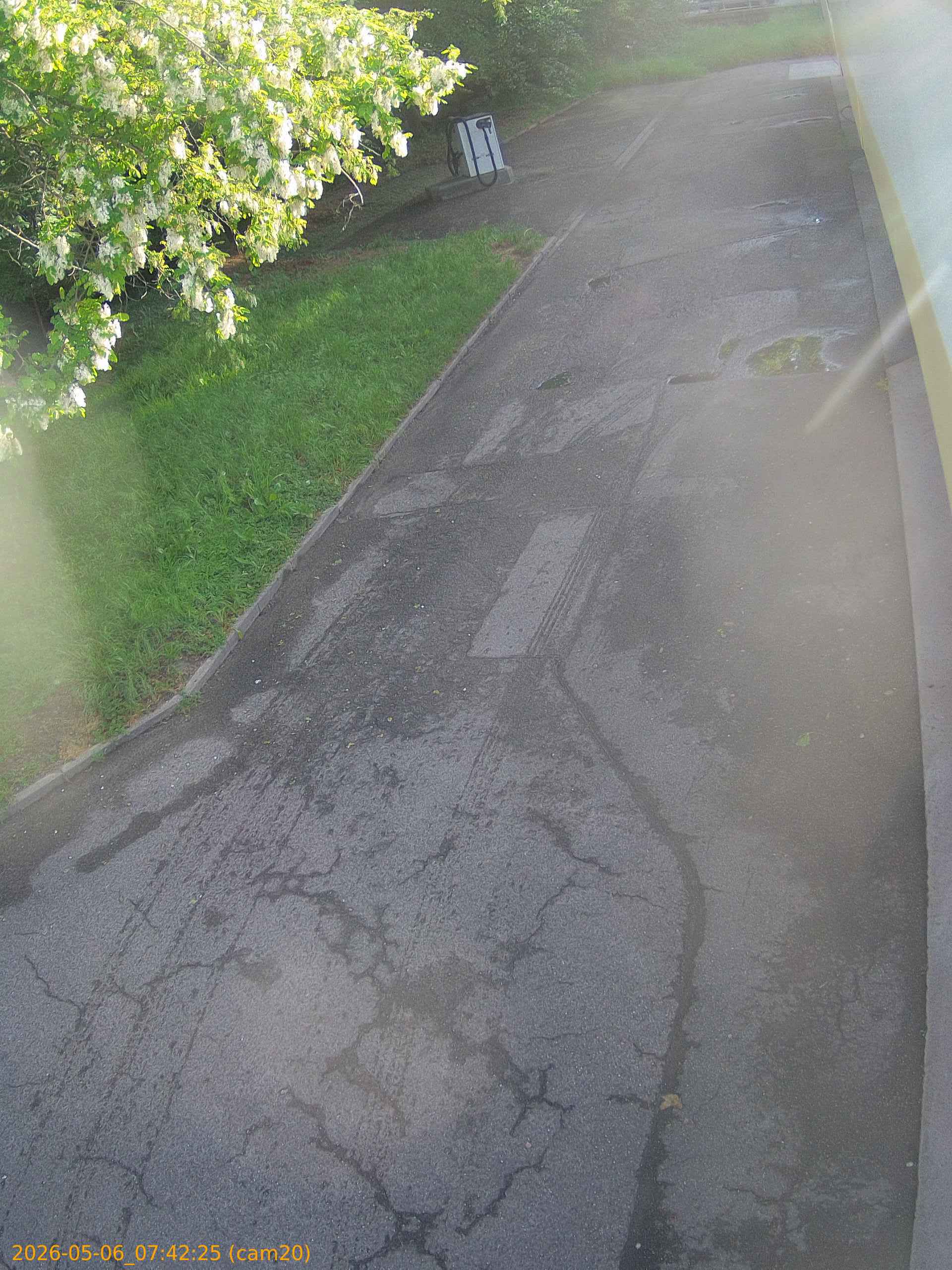 20260506074225