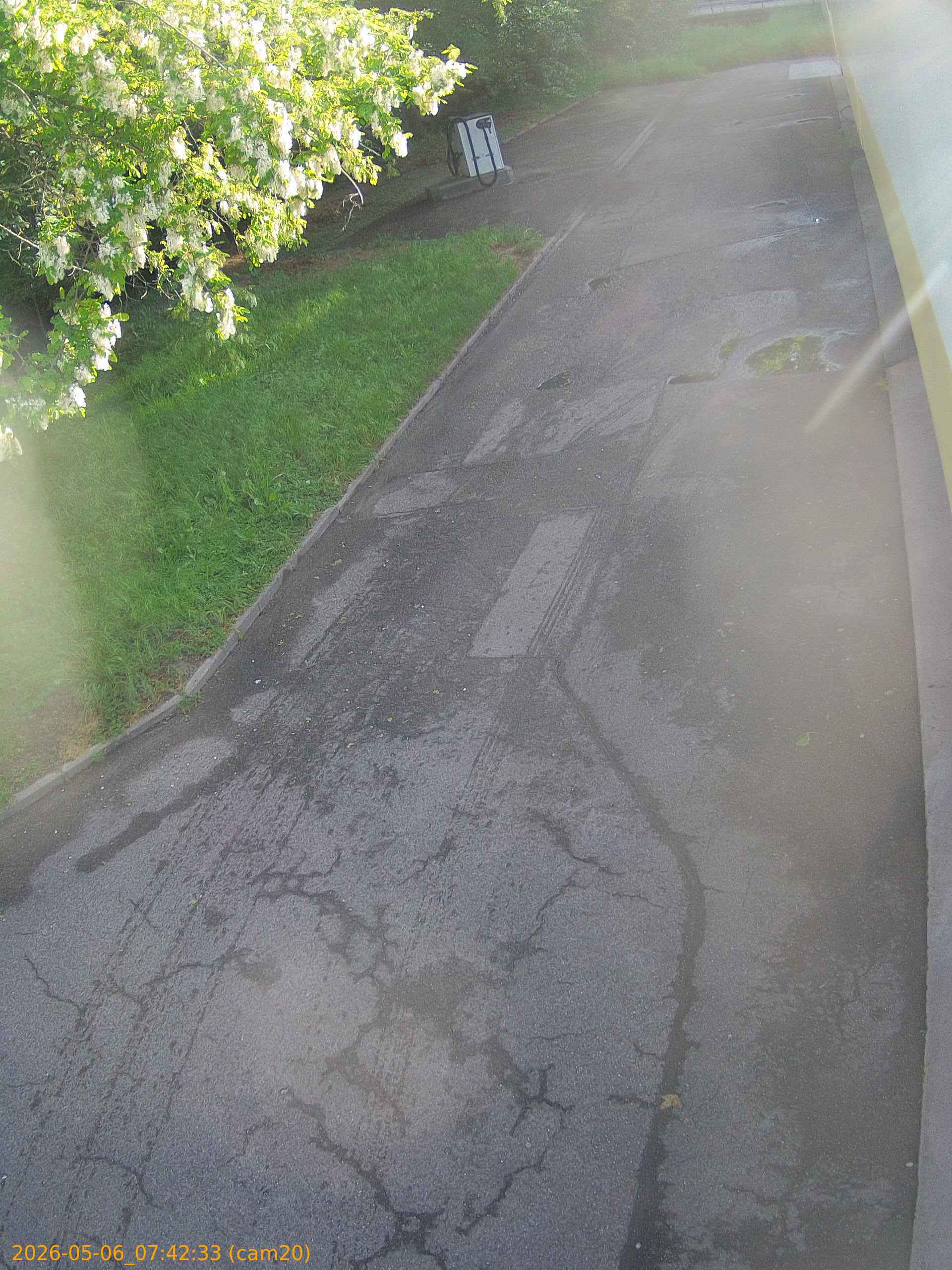 20260506074233