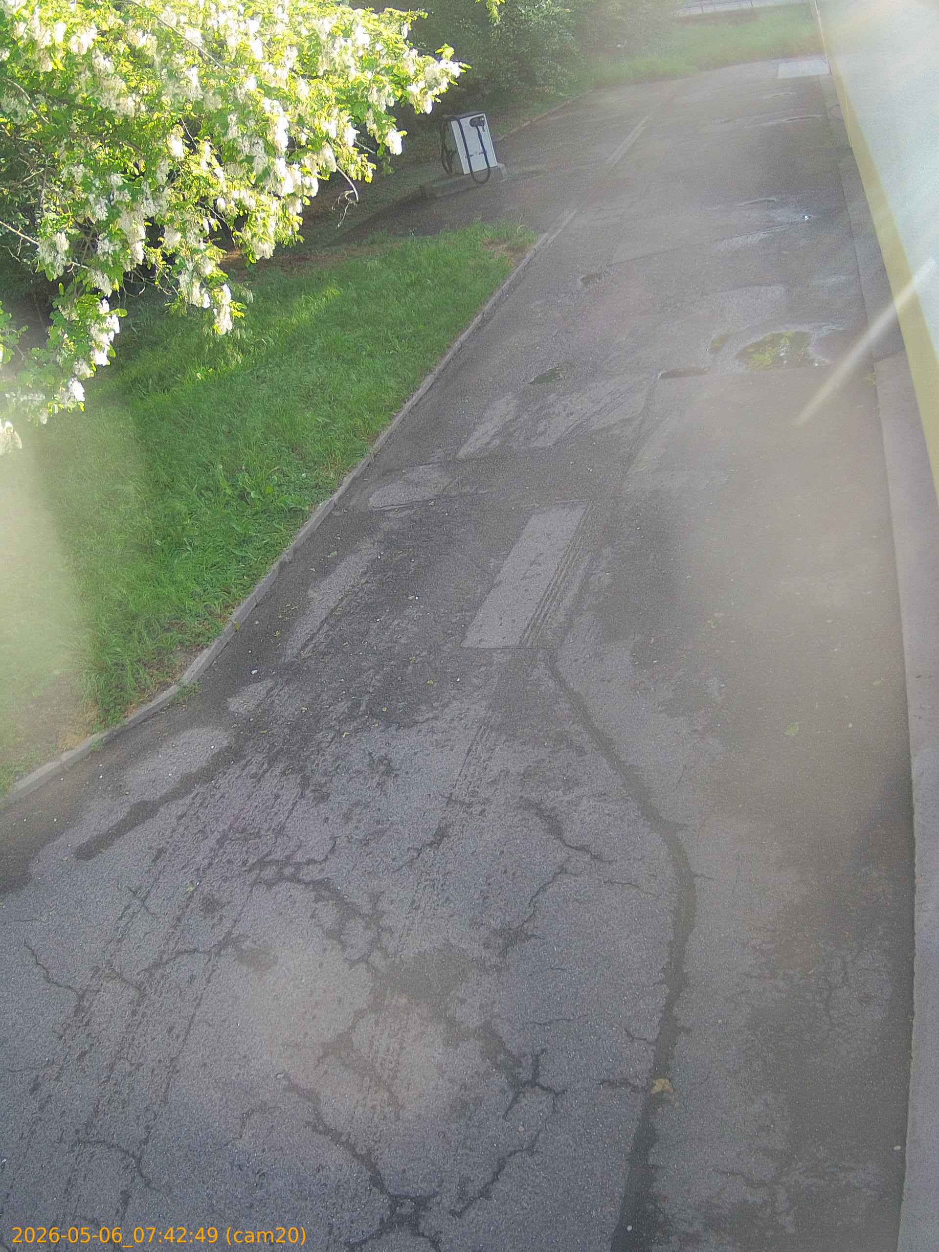 20260506074249