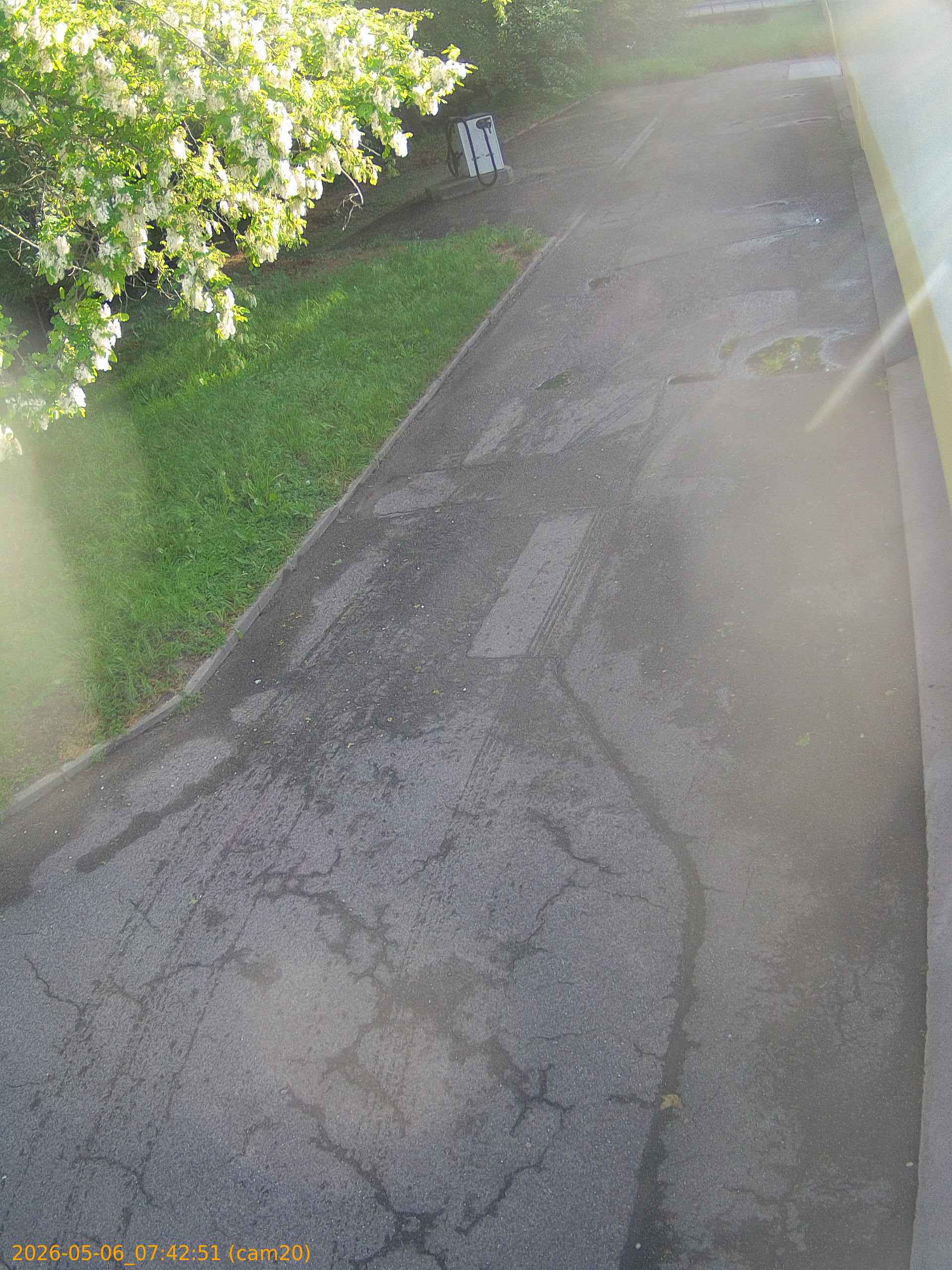 20260506074251