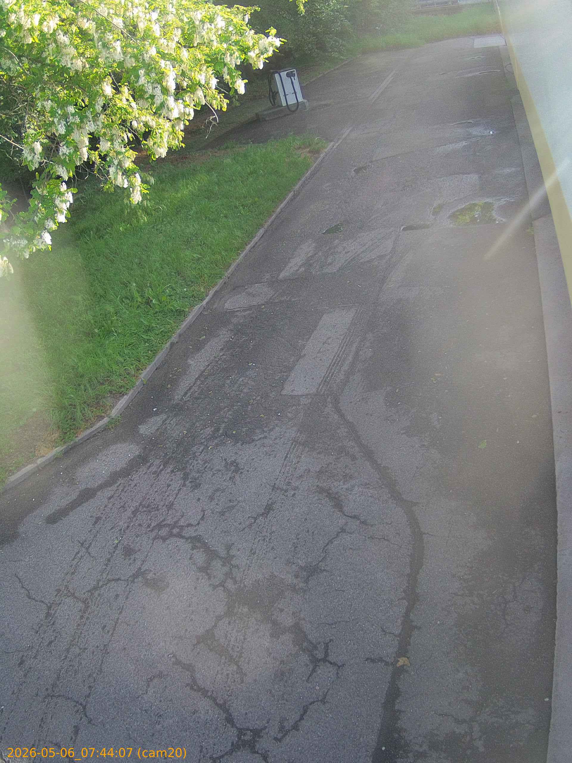 20260506074407
