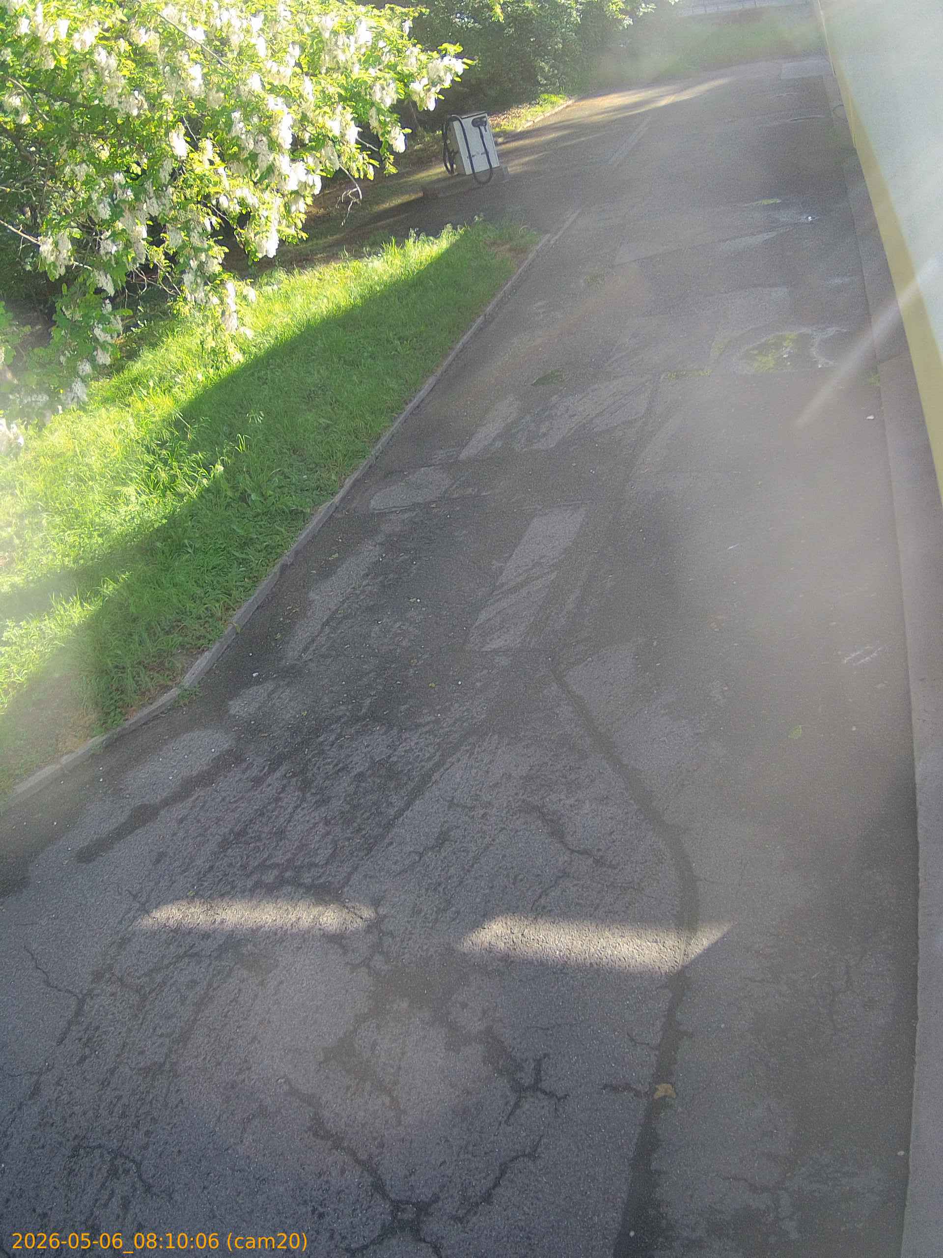 20260506081006