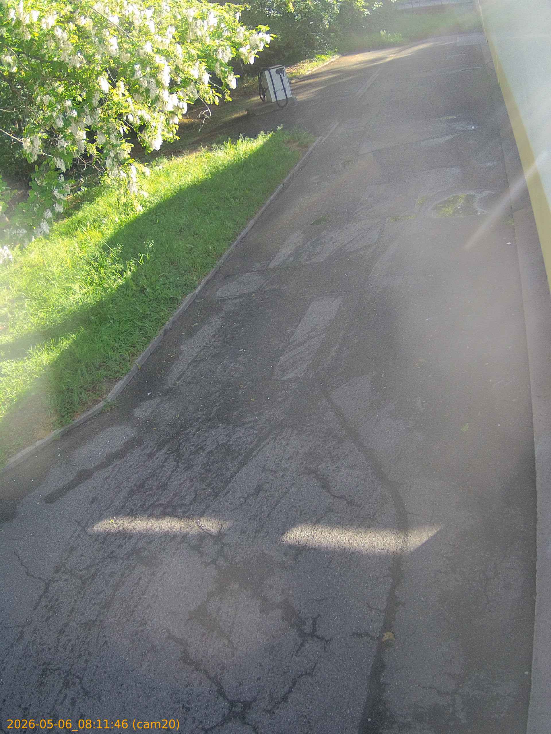 thumbnail_20260506081146