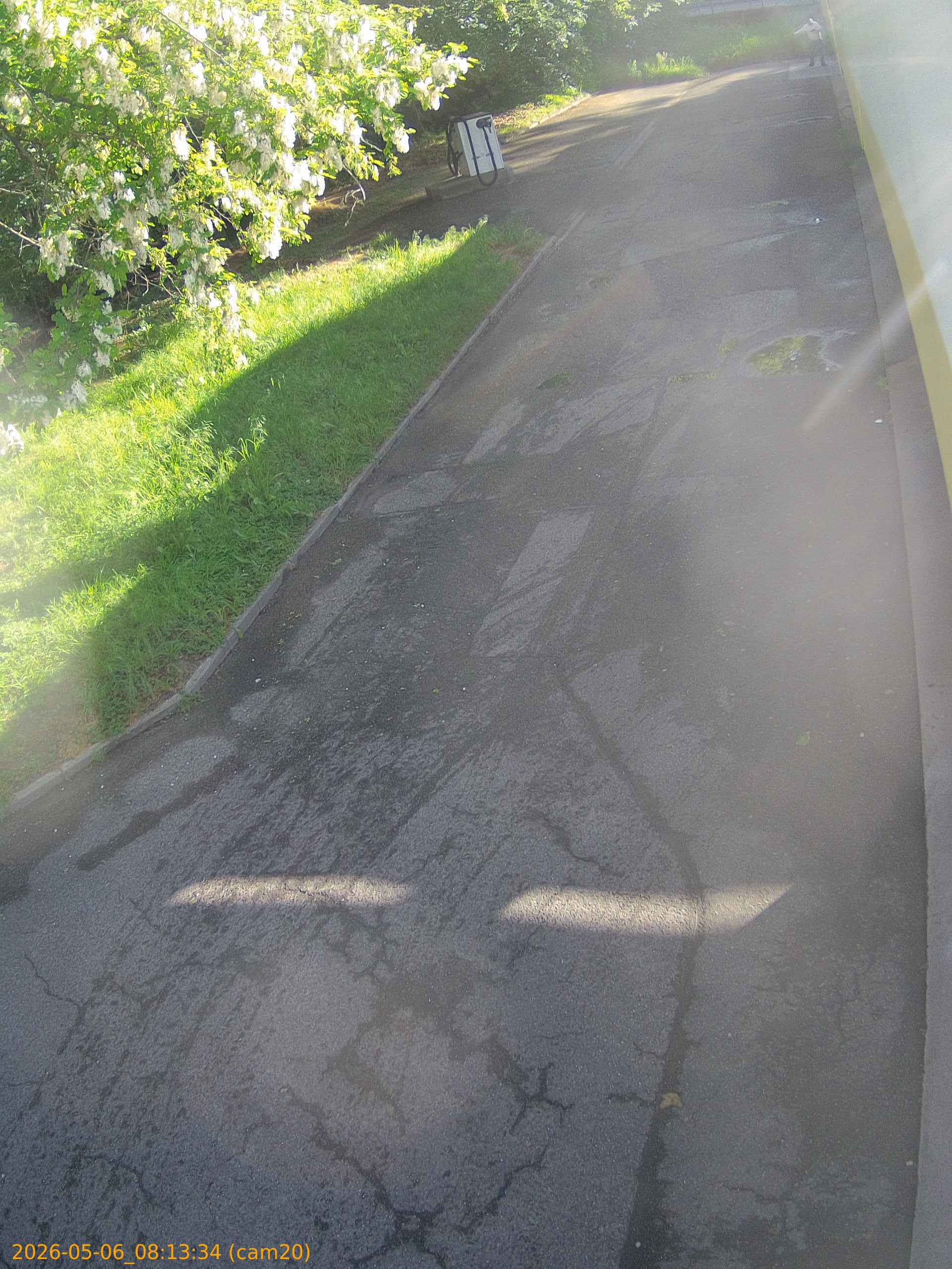 thumbnail_20260506081334