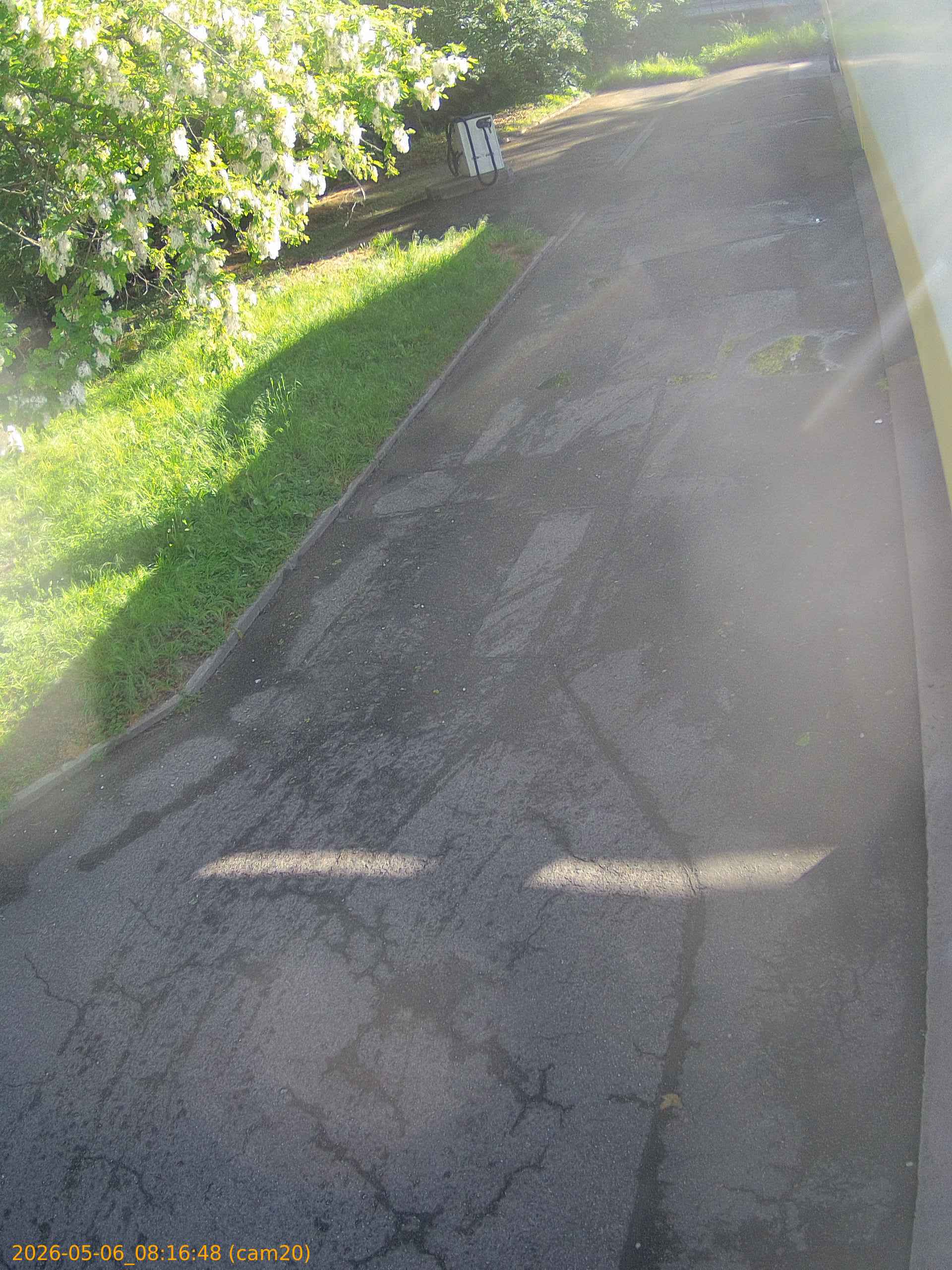 thumbnail_20260506081648