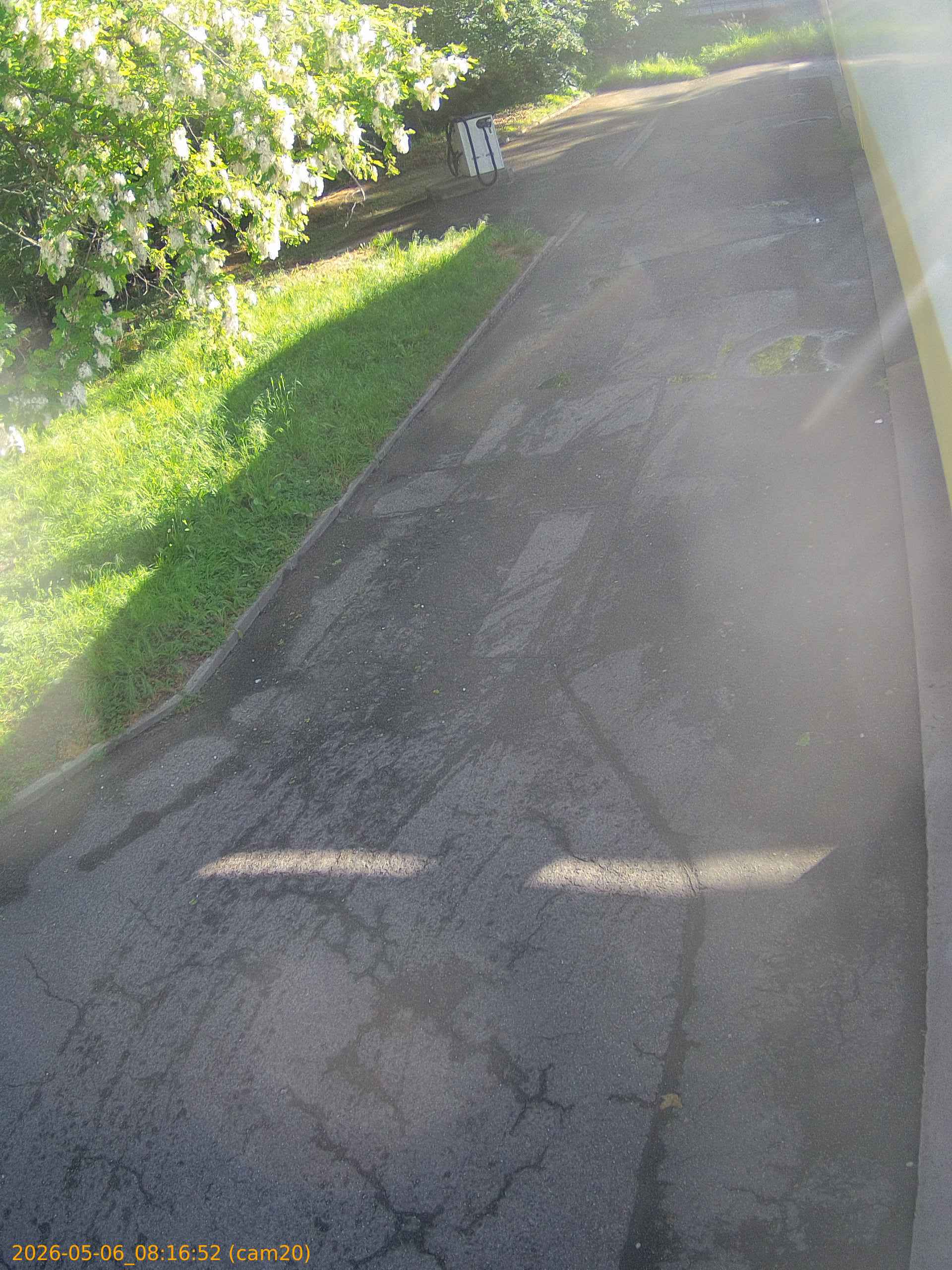 thumbnail_20260506081652