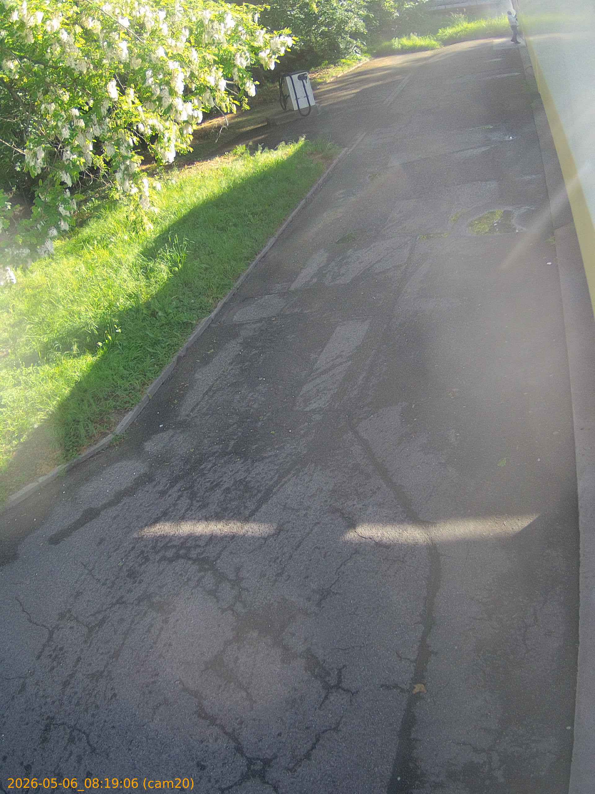thumbnail_20260506081906