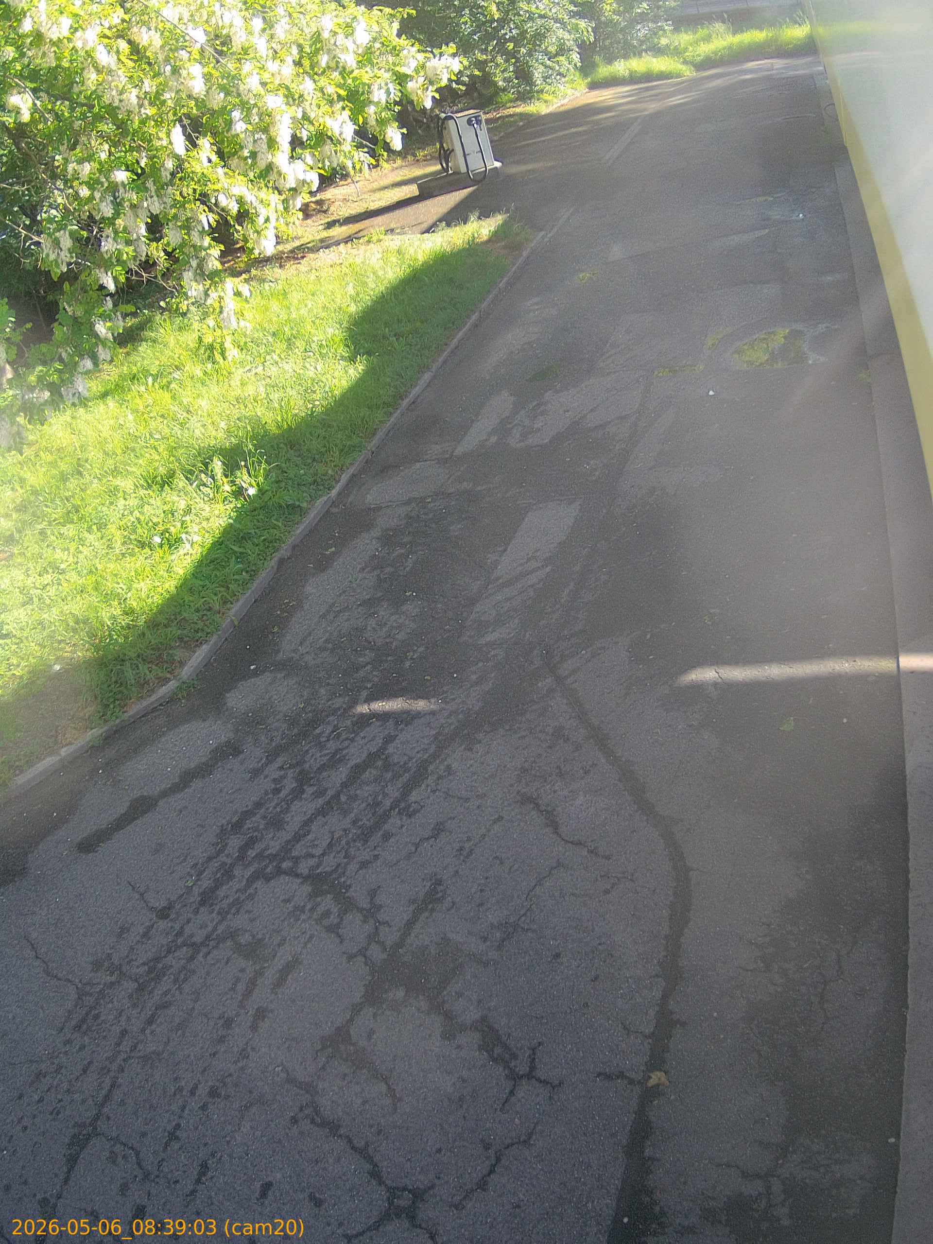 20260506083903